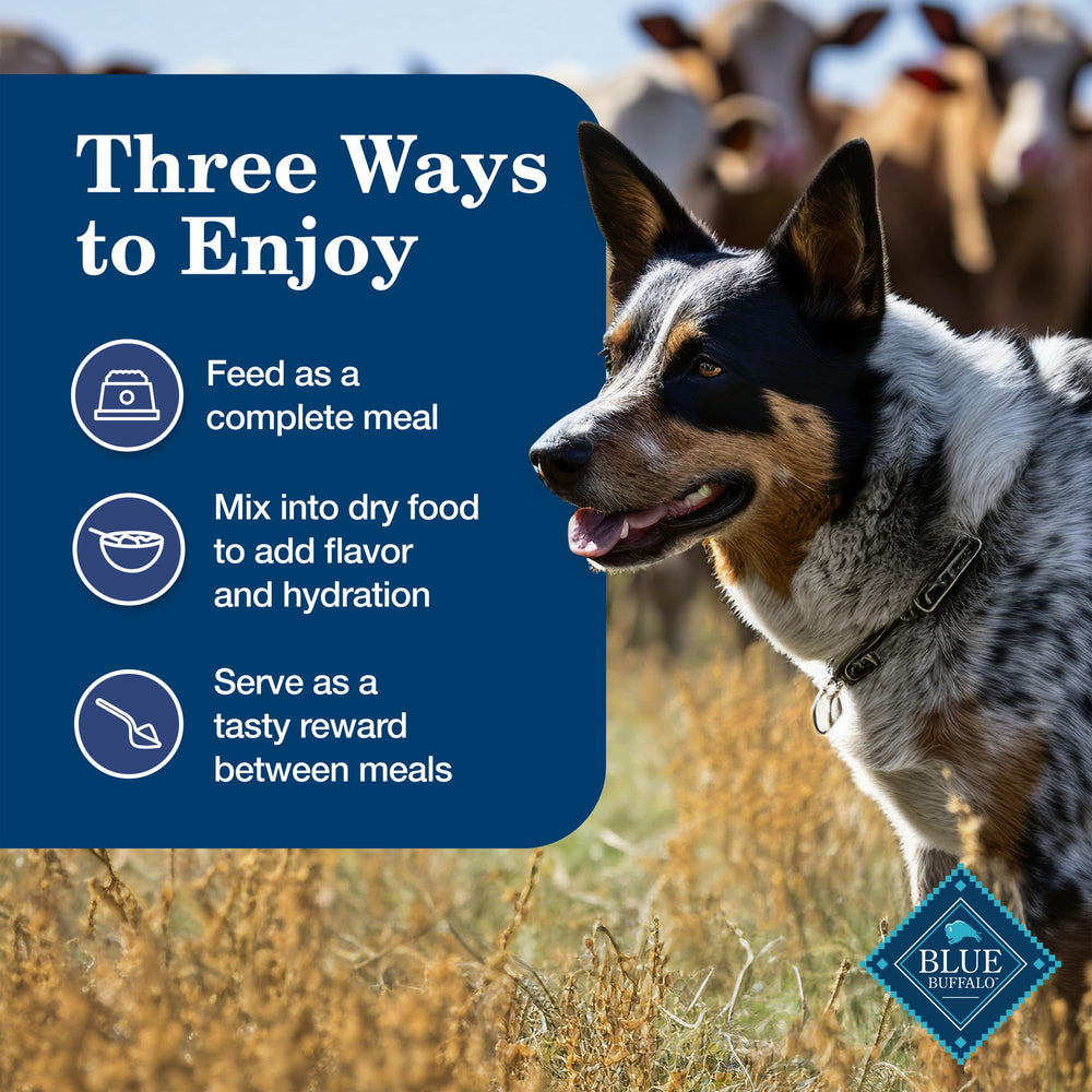 Blue Buffalo Homestyle wholesome ingredients support balanced, tasty meals.