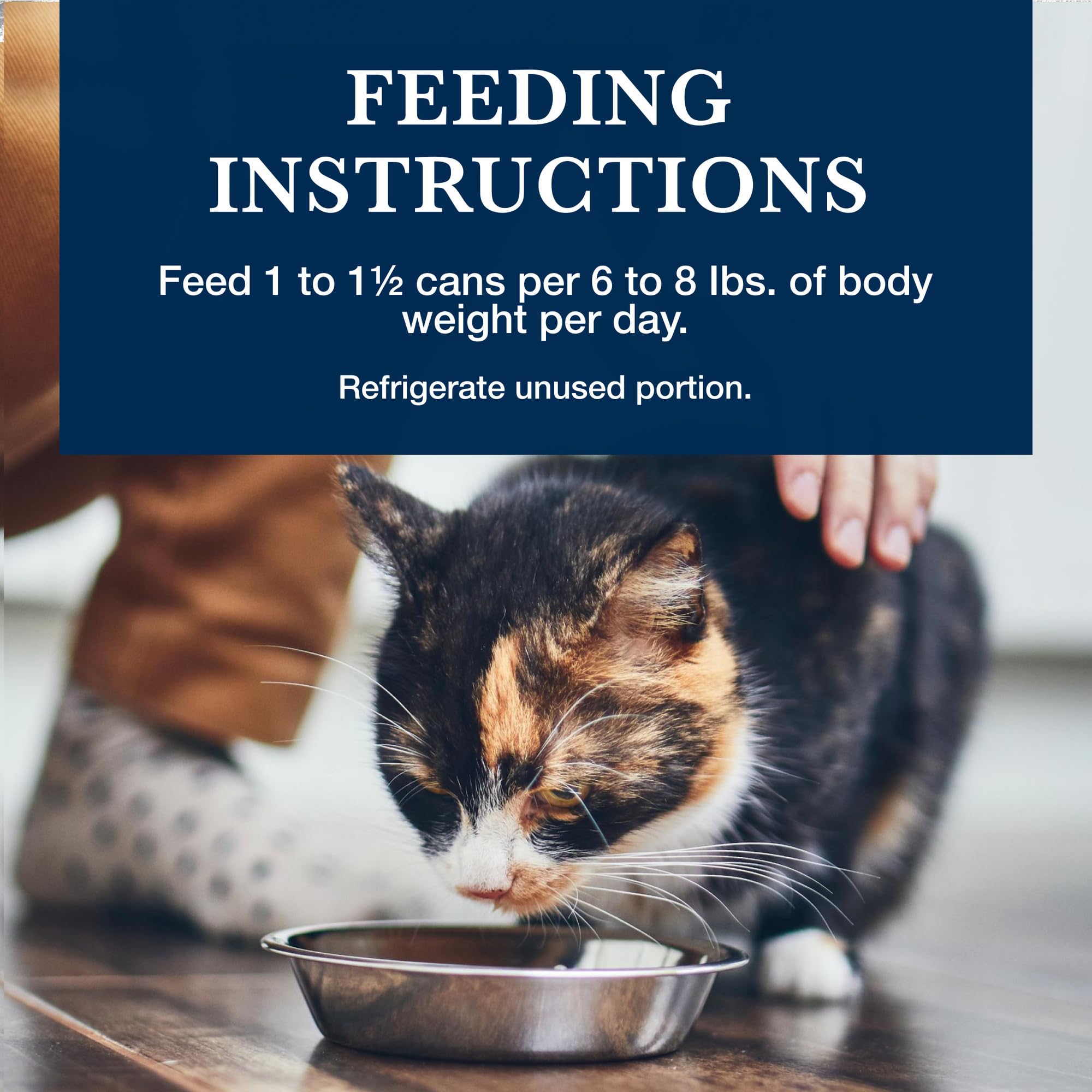 Blue Buffalo KM serving suggestion near a cat bowl and portion guidance.