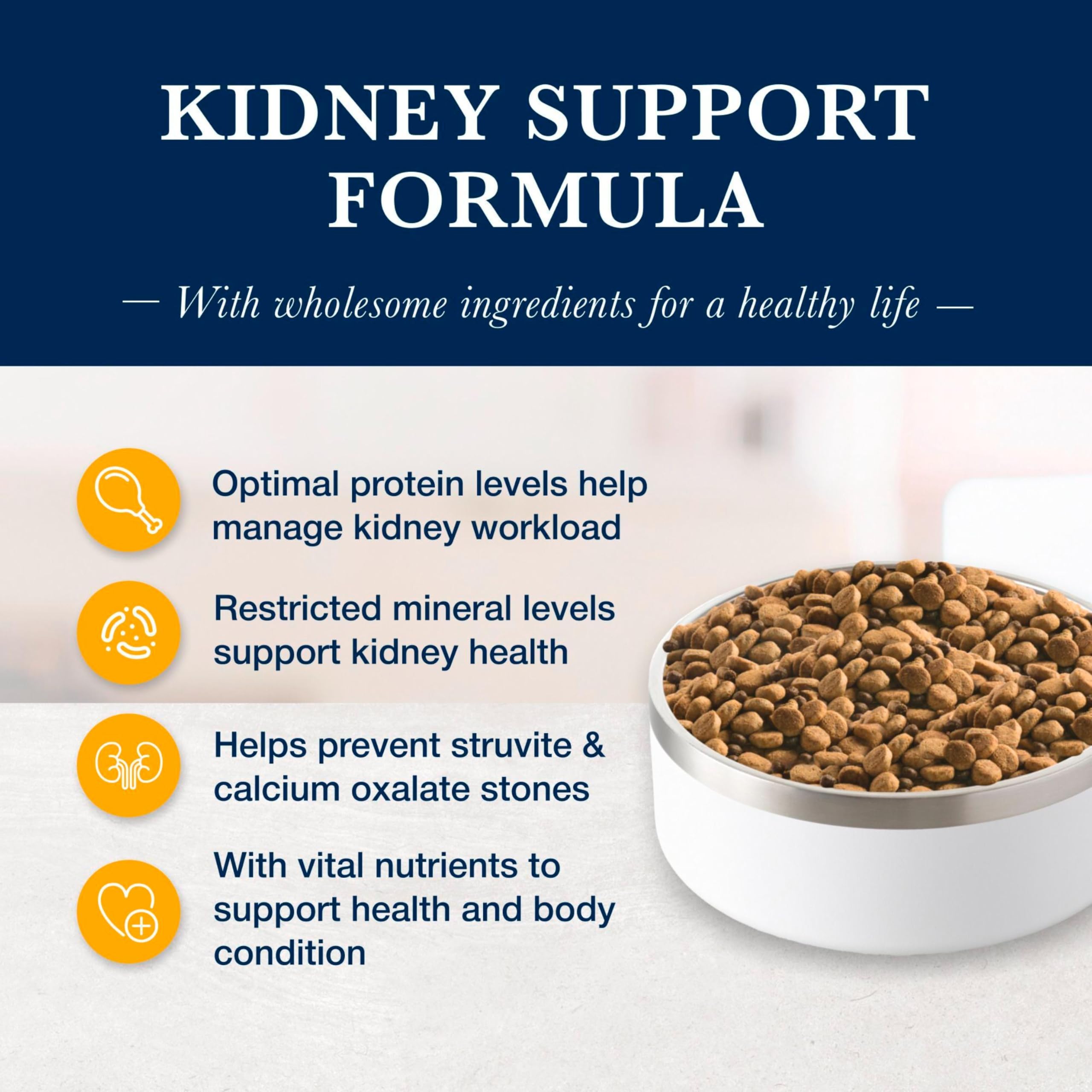 Blue Buffalo KS Kidney Support kibble in a bowl showing balanced nutrition for kidney health.