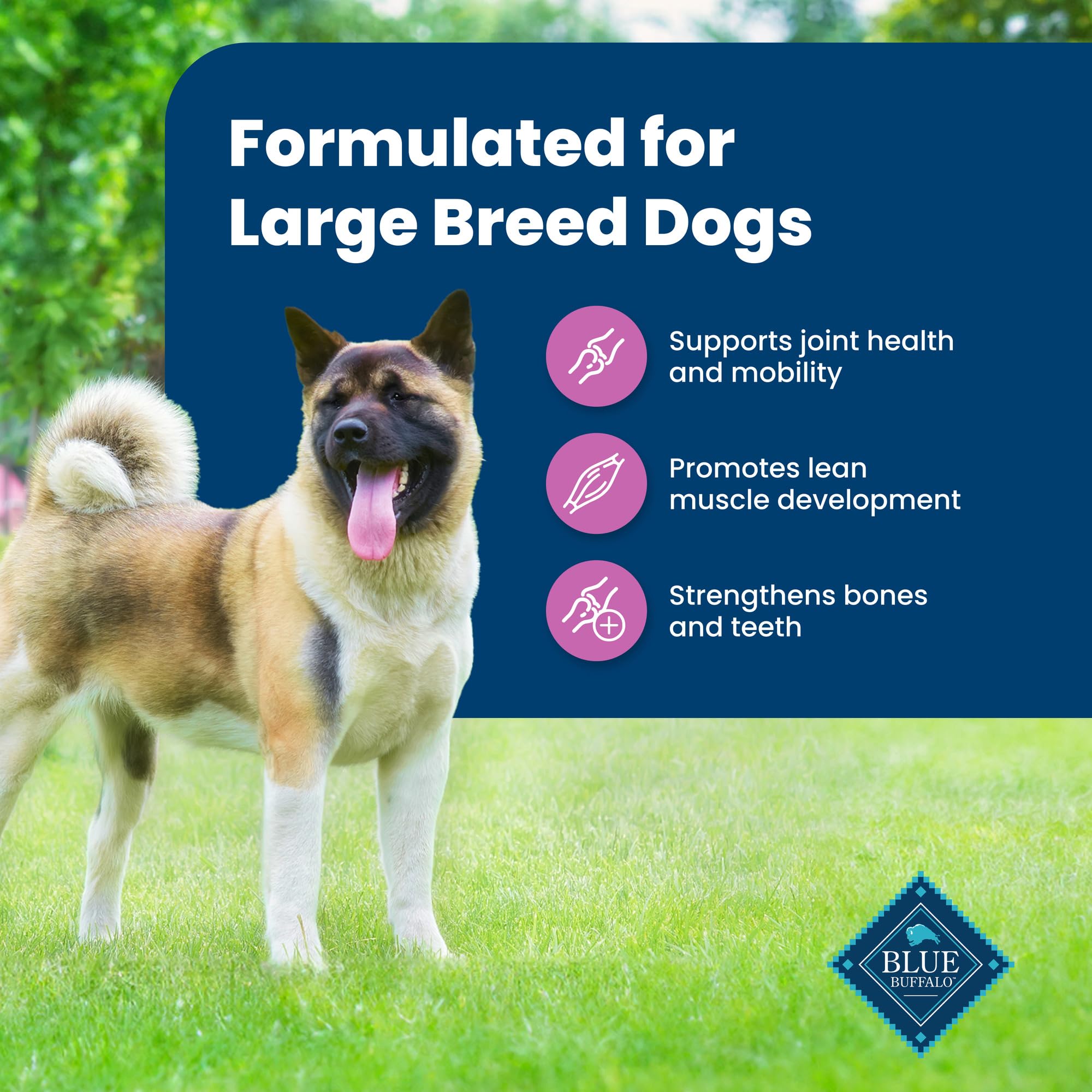 L-Carnitine supports lean muscles in Blue Buffalo large breed recipe.