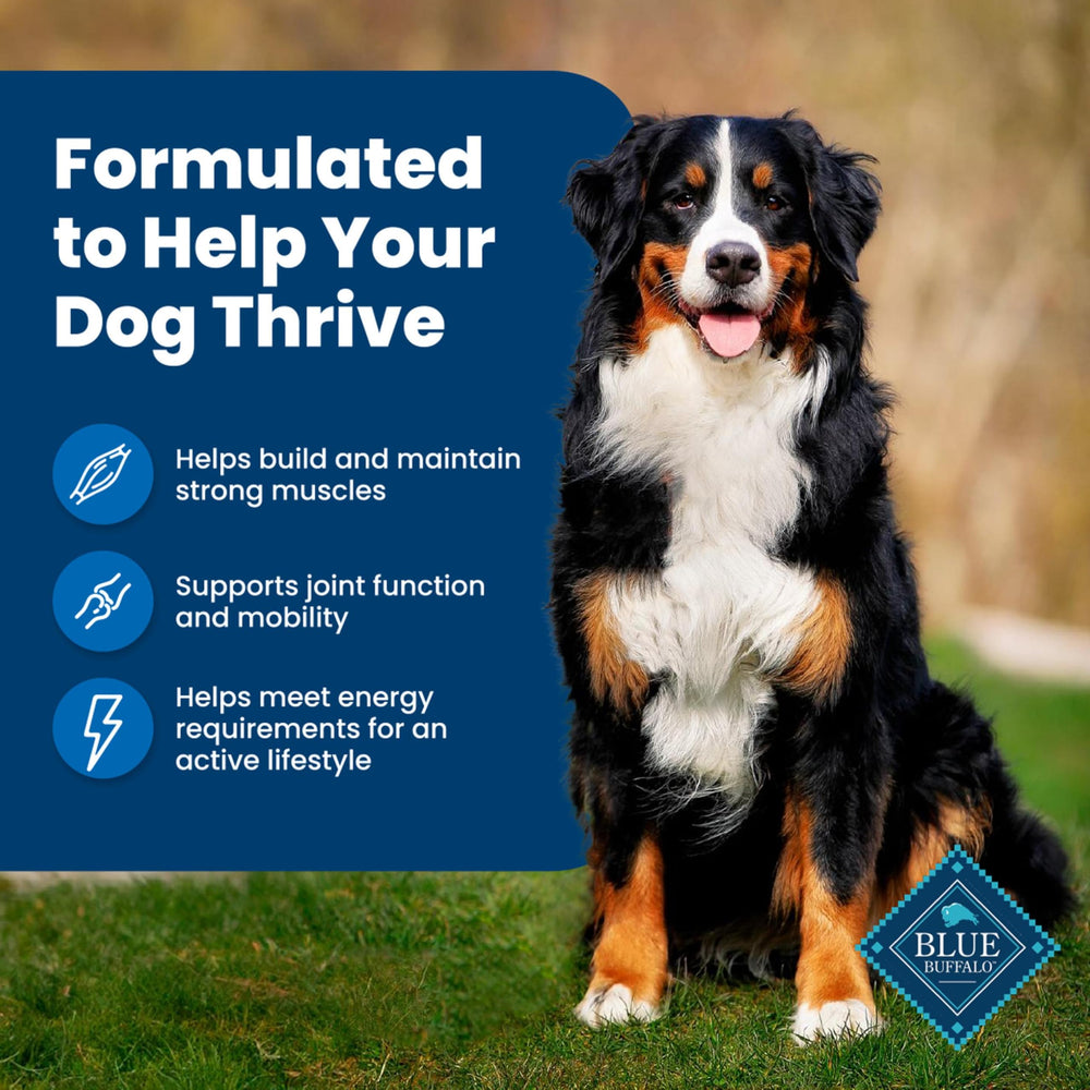 Blue Buffalo Life Protection Formula dog bowl serving demonstrates complete daily nutrition.