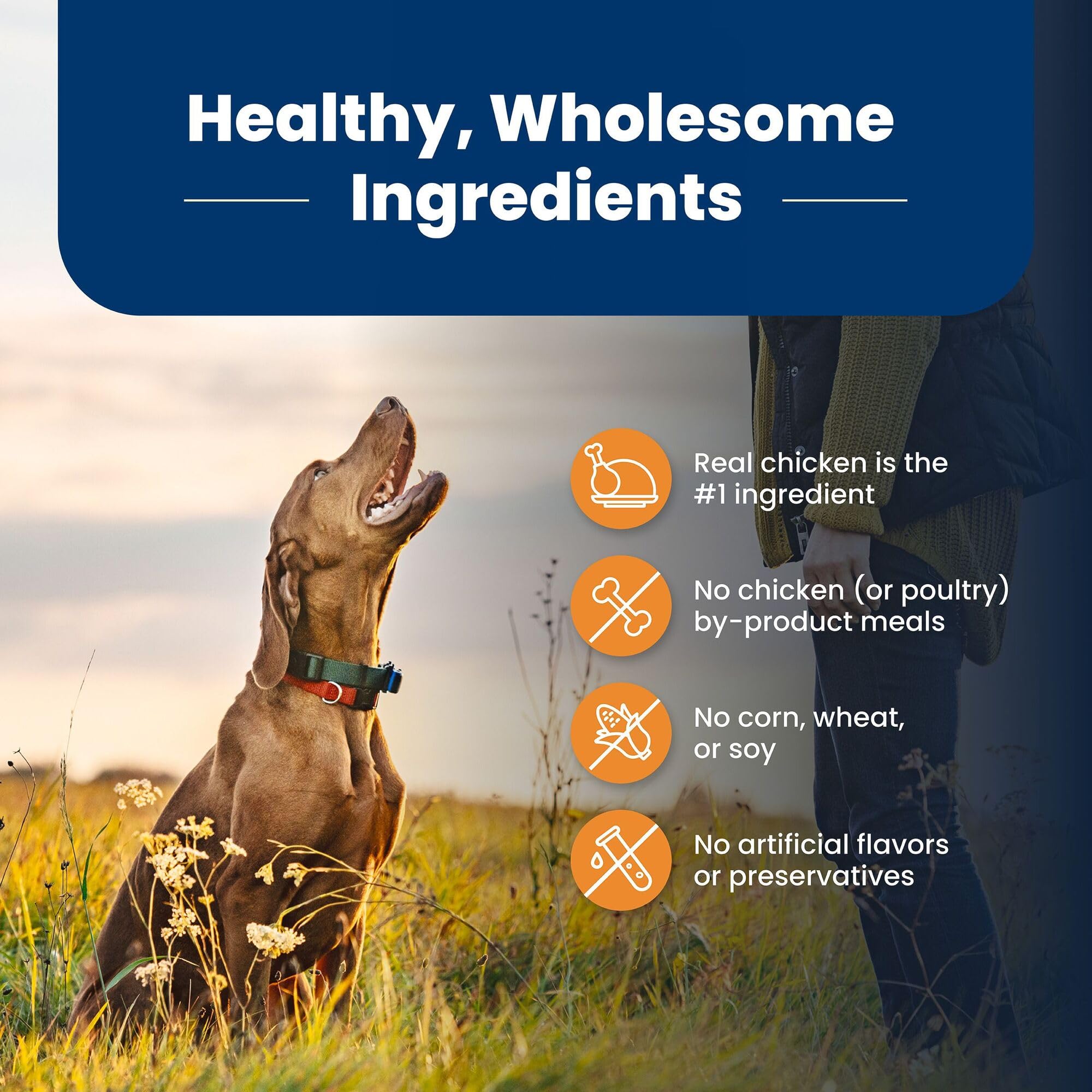 Blue Buffalo Life Protection joint health features with glucosamine and chondroitin on bag.