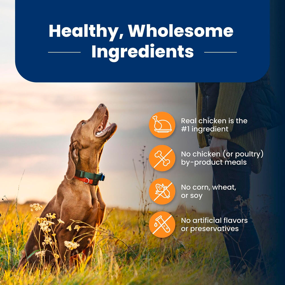 Blue Buffalo Life Protection joint health features with glucosamine and chondroitin on bag.