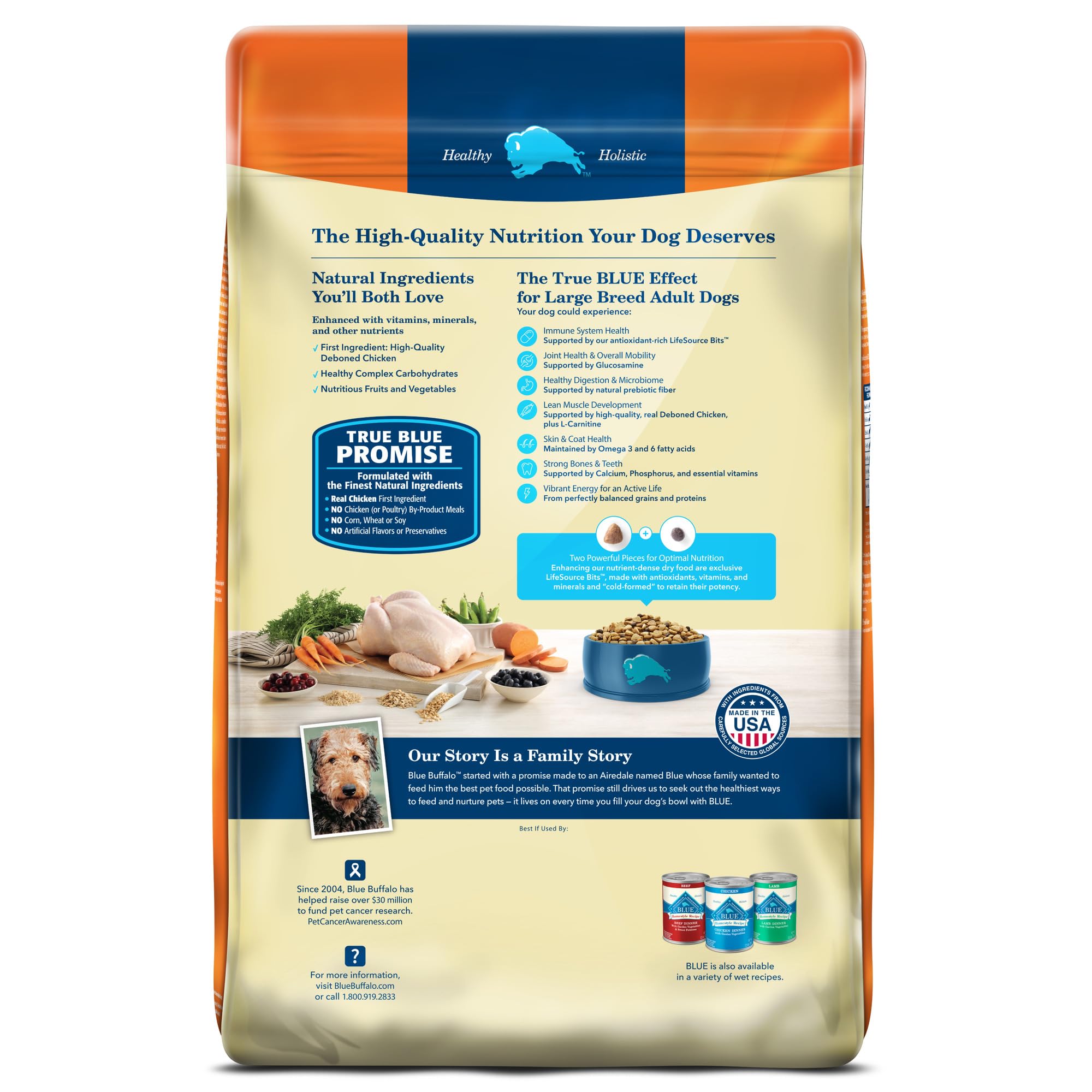 Blue Buffalo Life Protection Large Breed kibble closeup highlights bite-sized pieces for large dogs