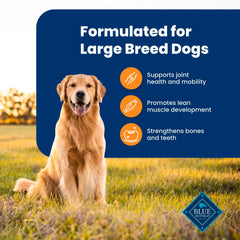 Blue Buffalo Life Protection large breed scoop showing wholesome brown rice.