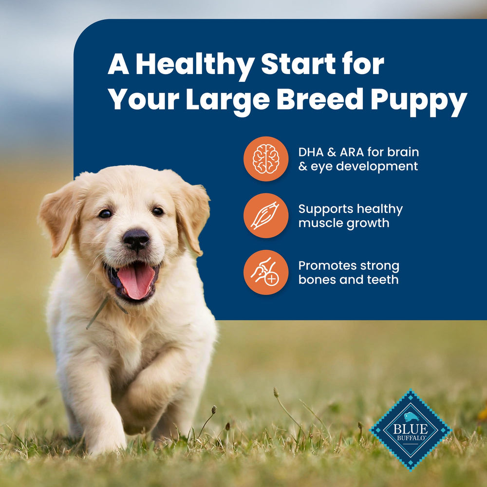 Blue Buffalo Life Protection Large Breed Puppy ingredients label highlights clean recipe