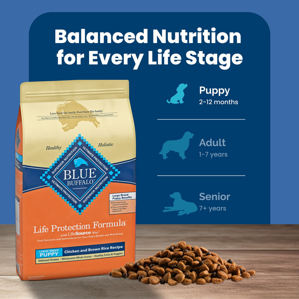 Blue Buffalo Life Protection Large Breed Puppy packaging art explaining ingredients