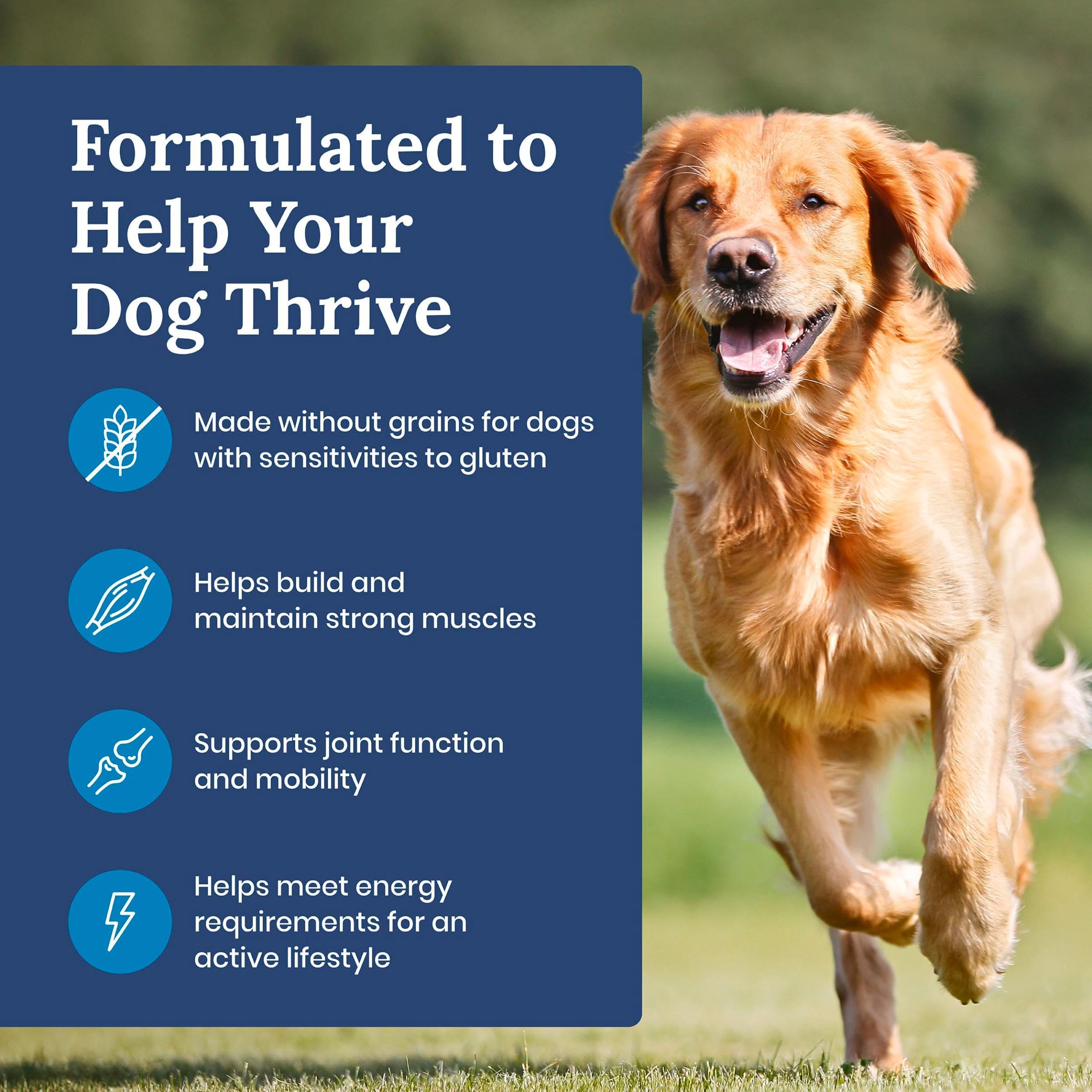 Blue Buffalo LifeSource Bits highlight antioxidants and minerals for immune balance