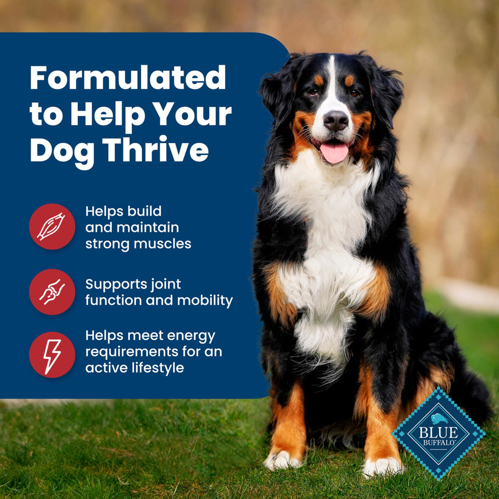 Blue Buffalo Life Protection graphic emphasizing omega fatty acids for coat health