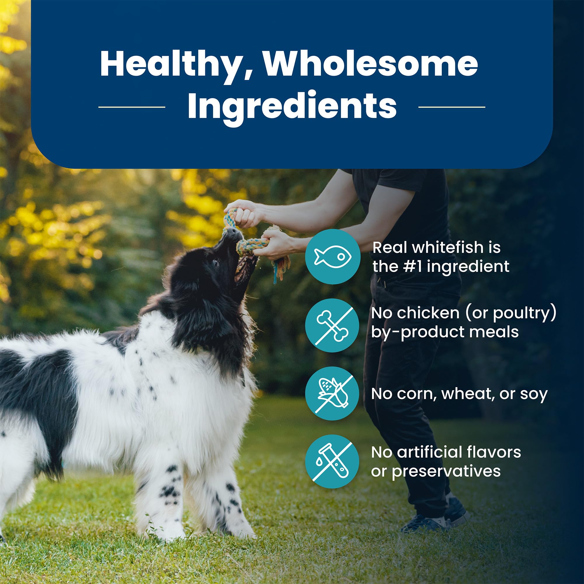 Blue Buffalo Life Protection packaging highlights ingredient benefits.