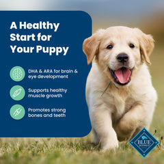 Blue Buffalo Life Protection Puppy ingredients list highlighting natural ingredients