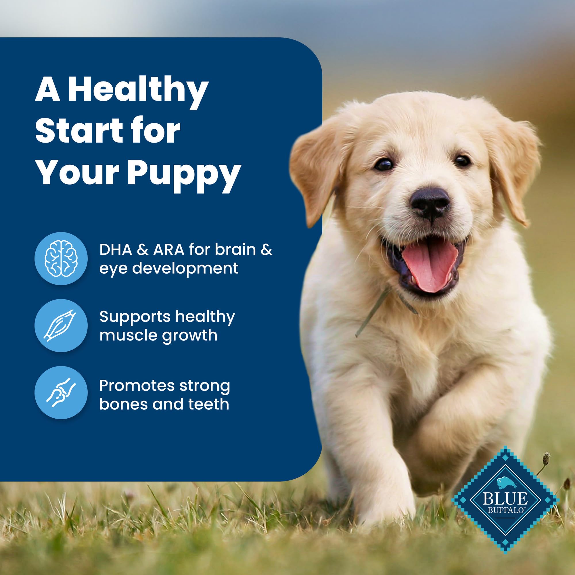 Blue Buffalo Life Source Bits provide antioxidants to support immune health