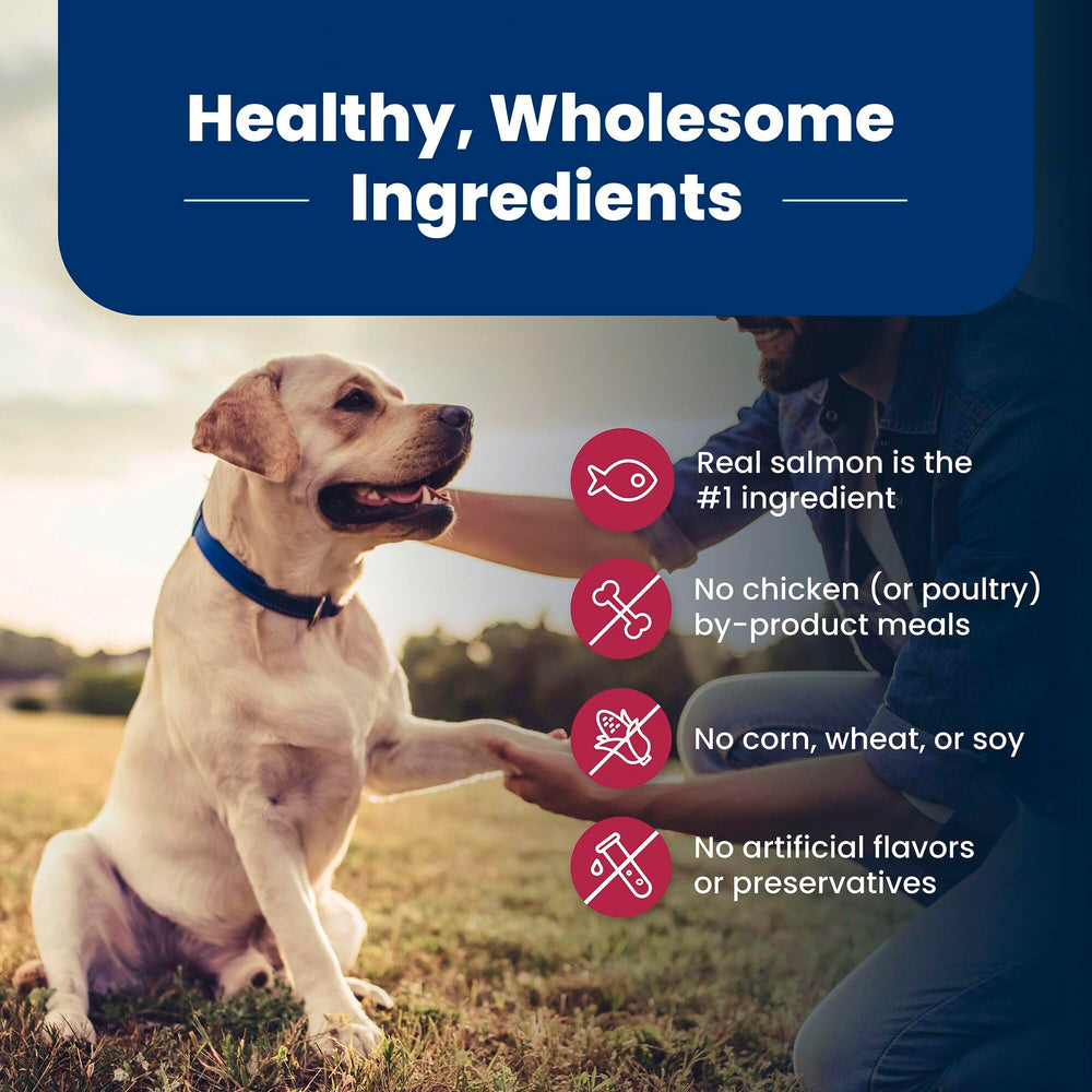 Blue Buffalo Life Protection Senior label close-up for chicken-free recipe