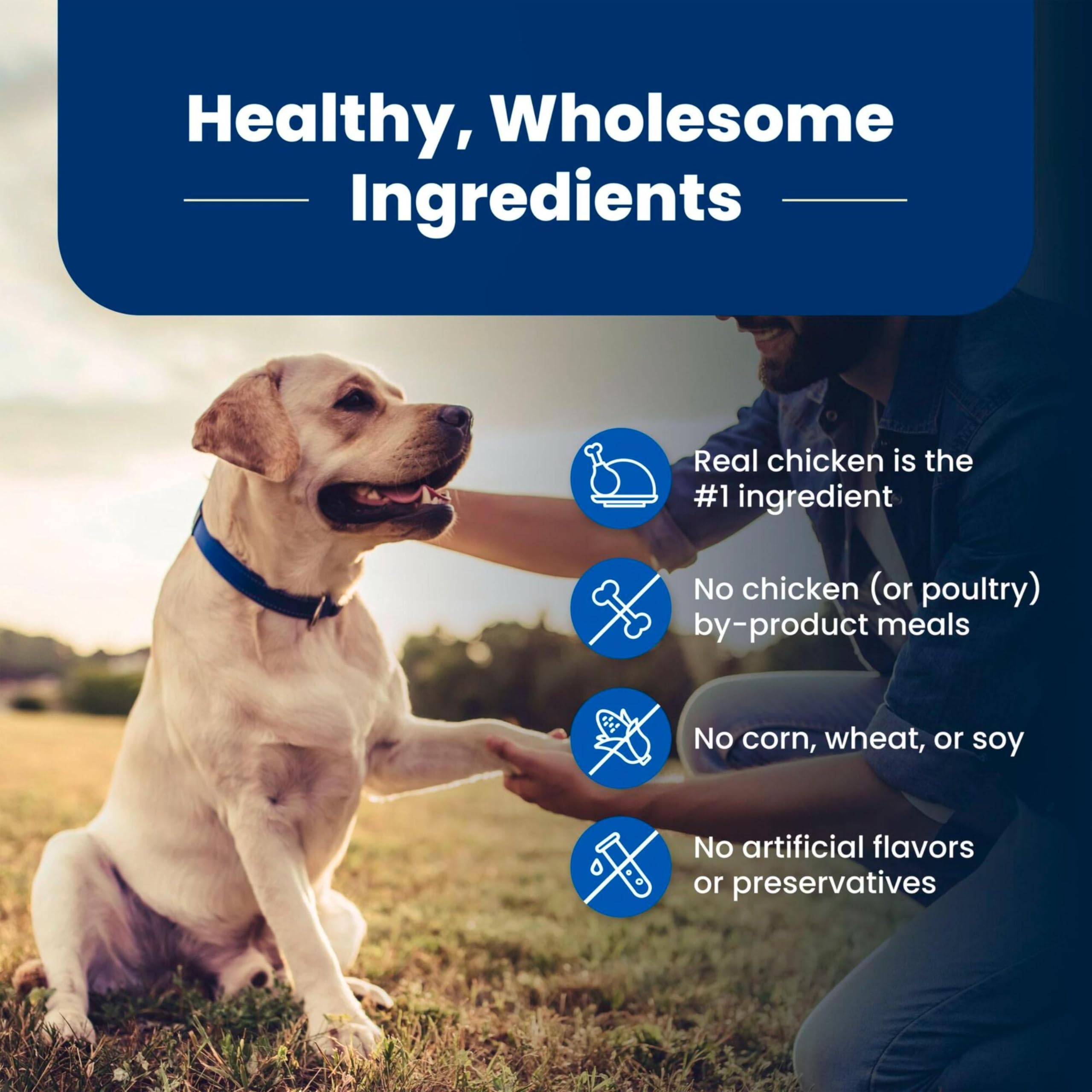 Blue Buffalo Life Protection Senior ingredients collage featuring blueberries and vegetables for balanced nutrition.