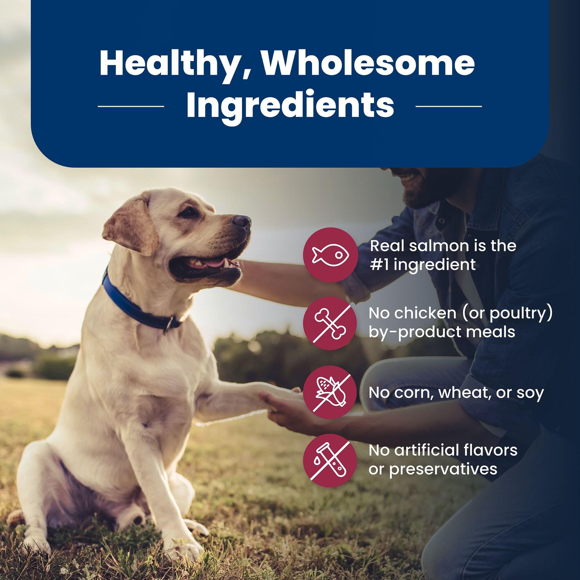Blue Buffalo Life Protection Senior 7+ natural ingredients without chicken by-products.