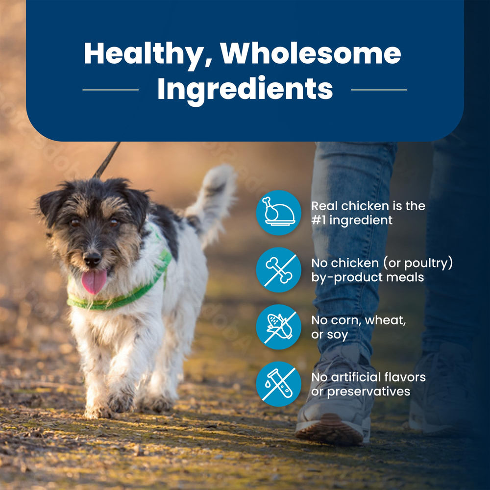 Blue Buffalo Life Protection Small Bites adult dog visual promises balanced nutrition for daily activity
