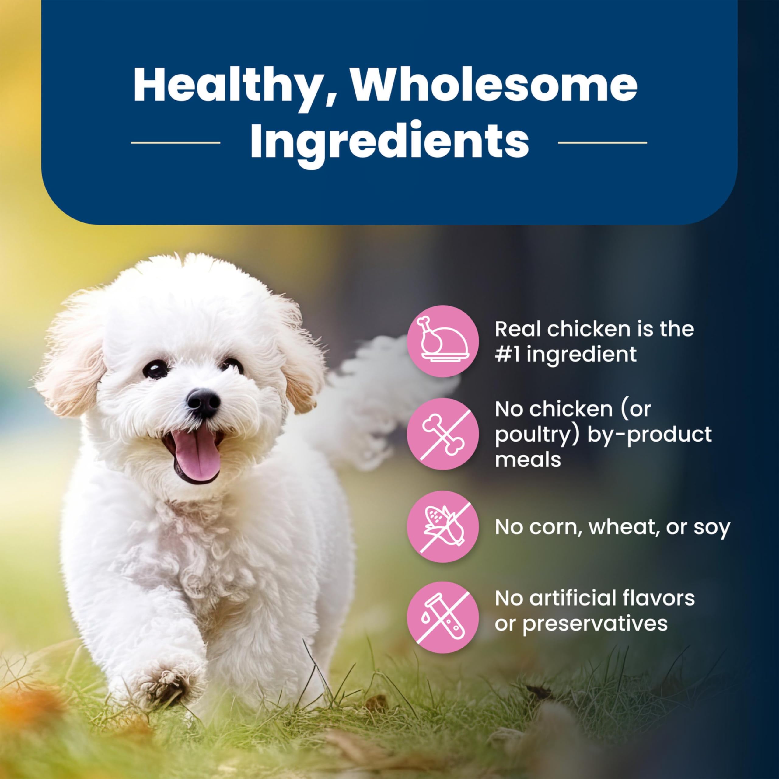 Blue Buffalo Life Protection Small Breed Brown Rice formula promotes steady digestion.