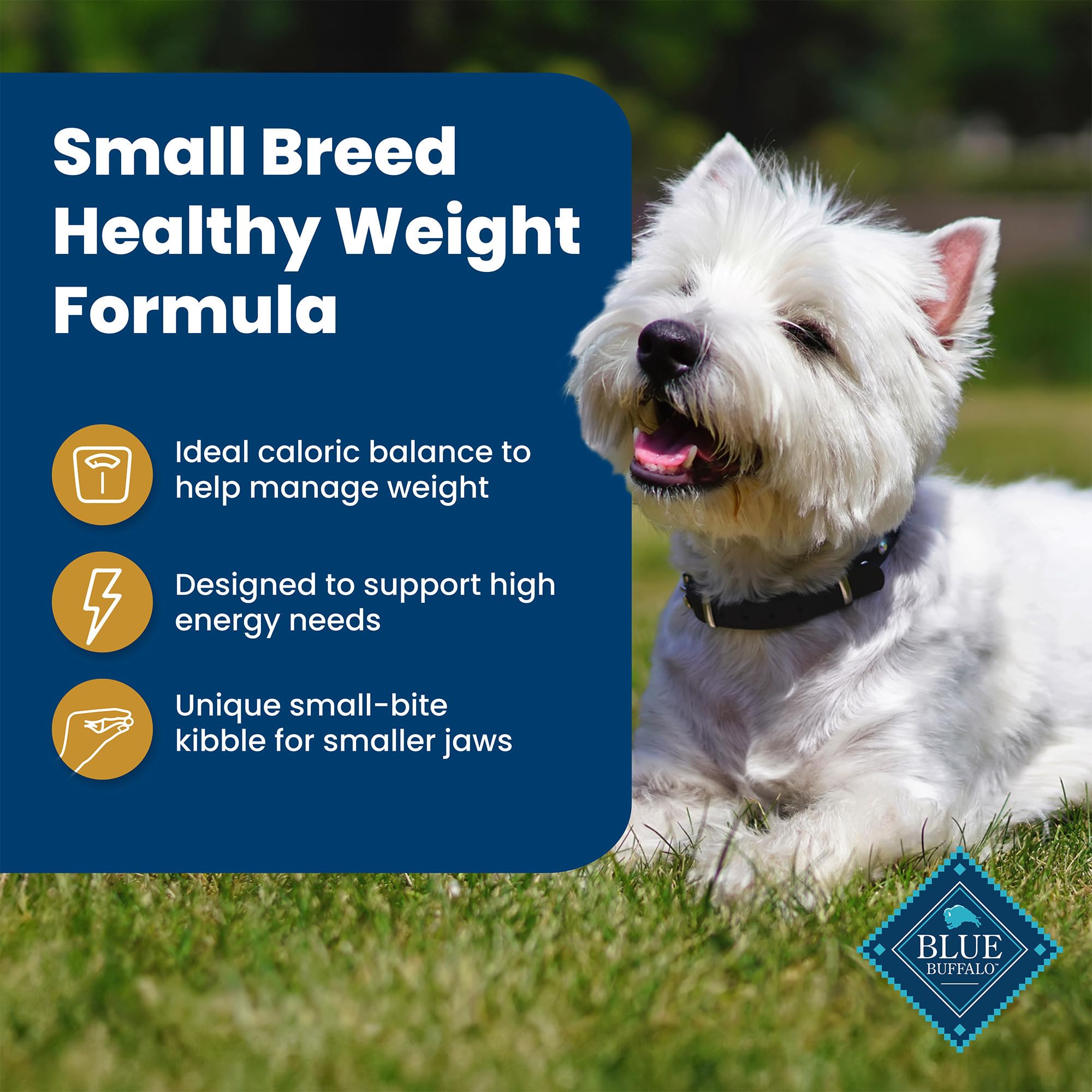 Blue Buffalo Life Protection Small Breed no by-product meals closeup