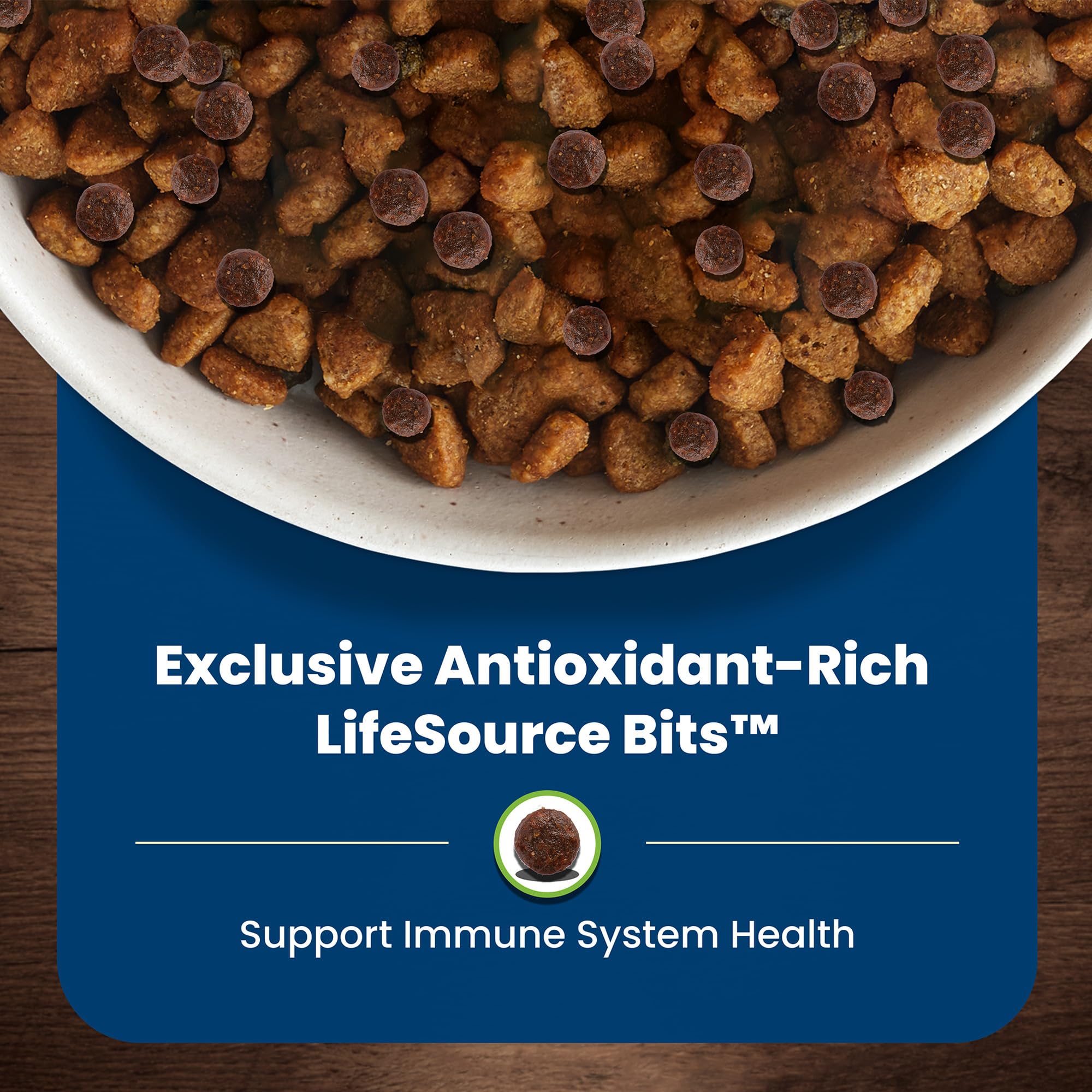 Close-up of dry kibble texture designed for small-dog appetites