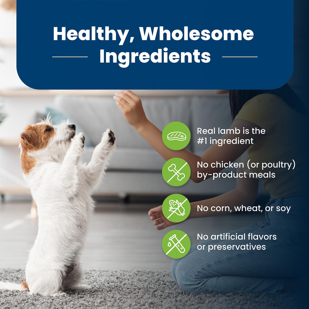 LifeSource Bits antioxidant blend depicted for immune support
