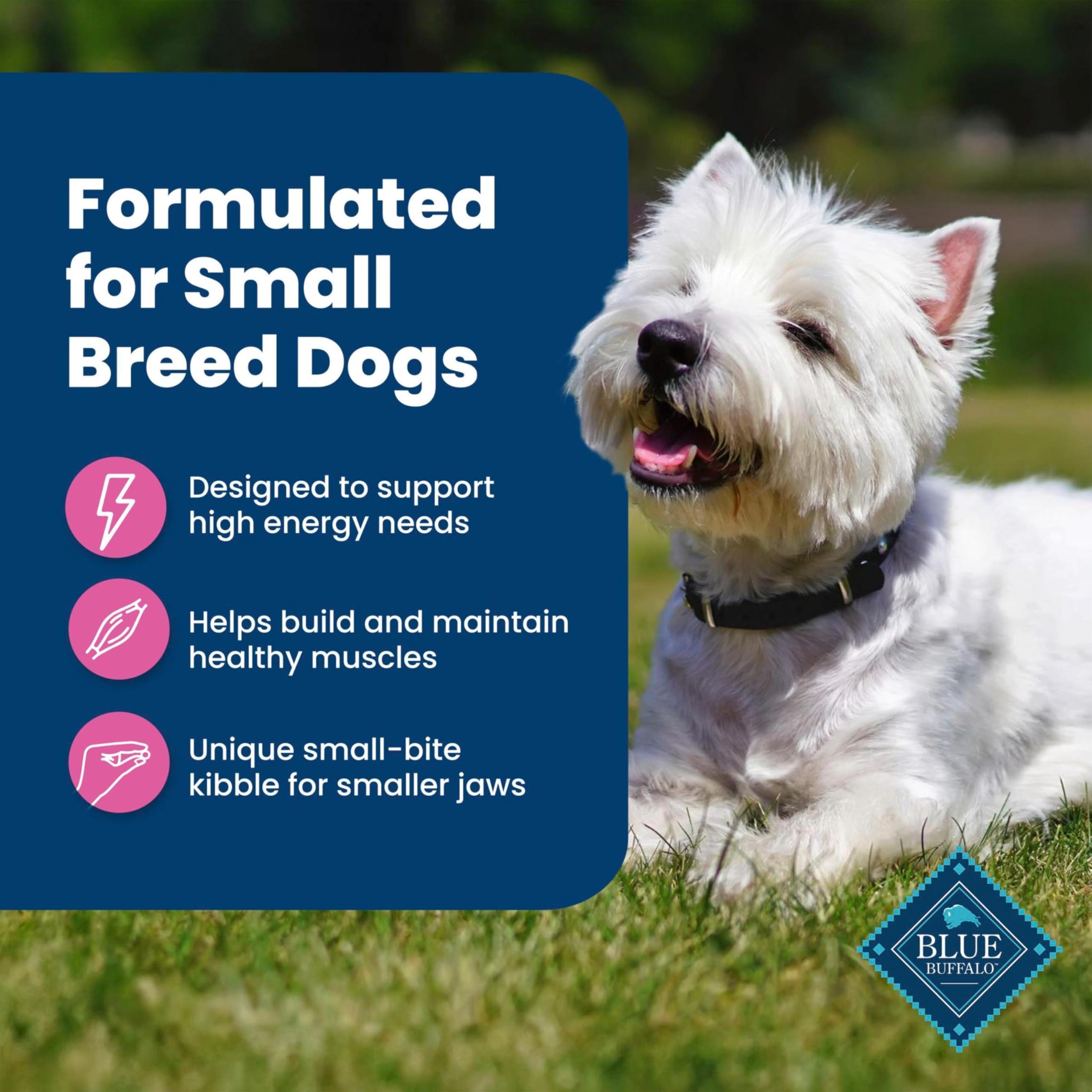Blue Buffalo small breed recipe contains no corn, wheat, or soy