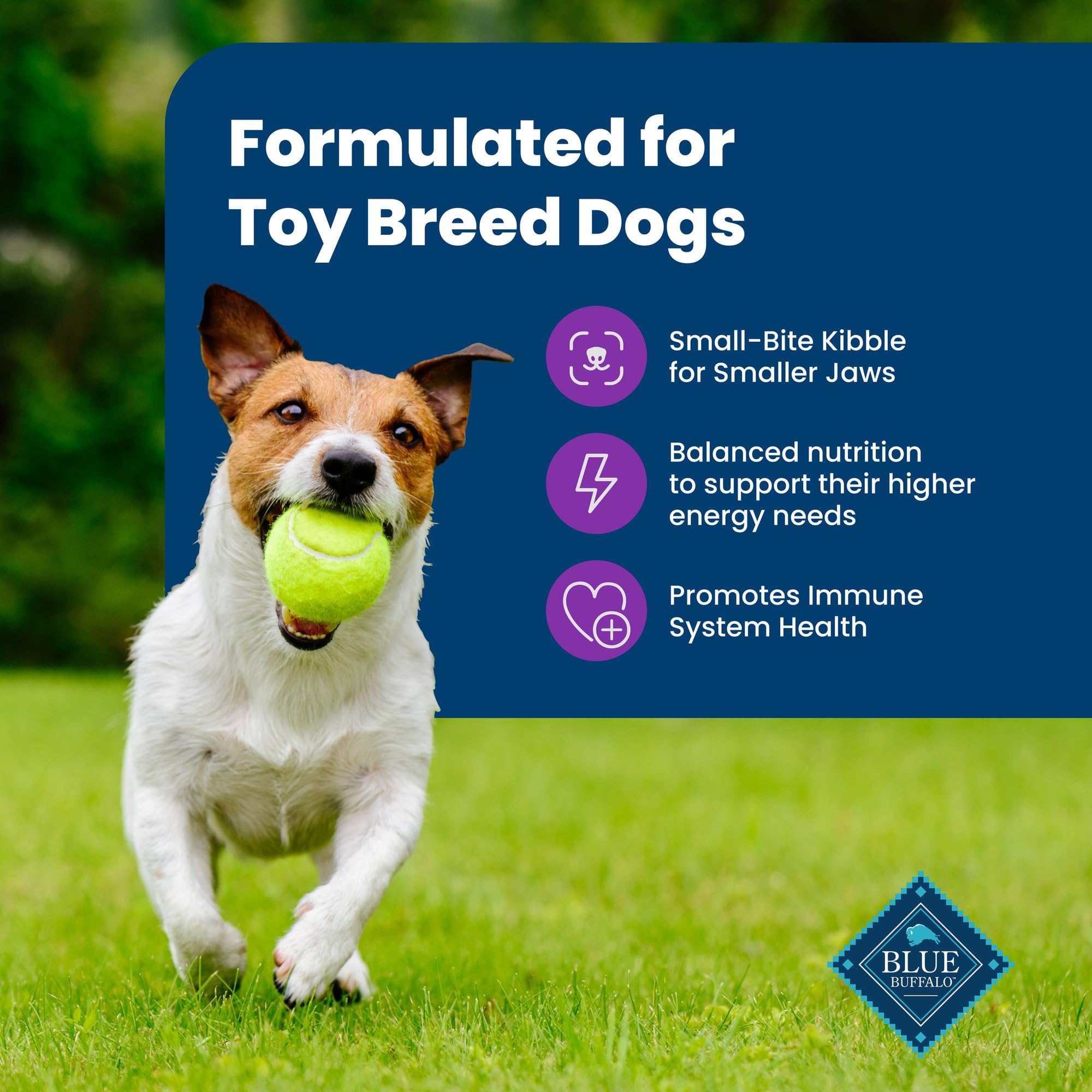 Blue Buffalo Life Protection Toy Breed bag back with feeding guidance