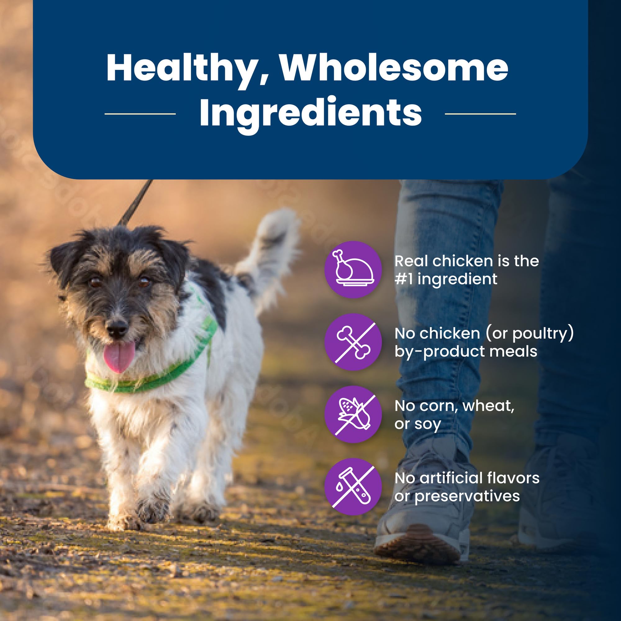 Blue Buffalo Life Protection ingredients list highlighting real chicken