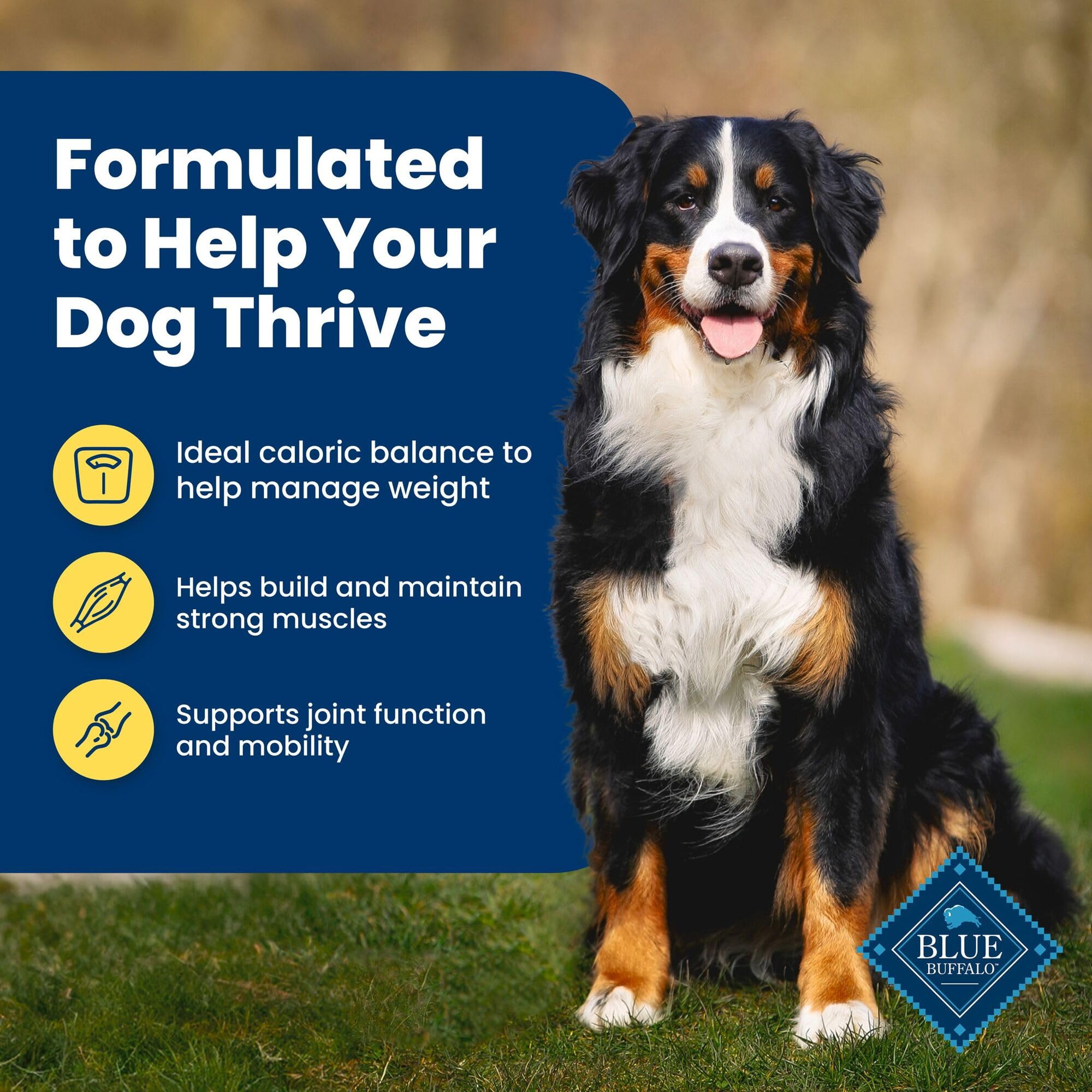 Blue Buffalo Life Protection Weight label highlights L-Carnitine for lean muscle support.