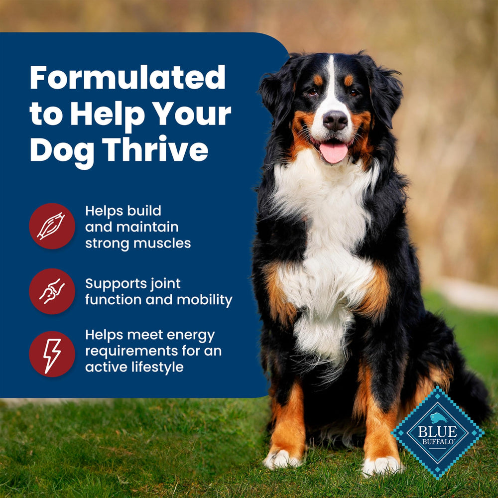 Blue Buffalo LifeSource Bits graphic illustrating antioxidant-rich immune support.