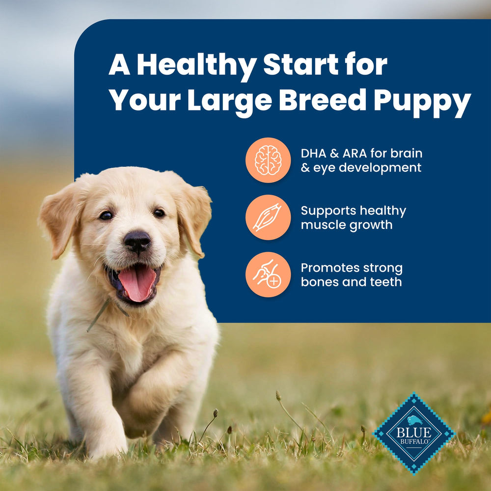 Blue Buffalo pack showcases LifeSource Bits for immune-supporting antioxidants.