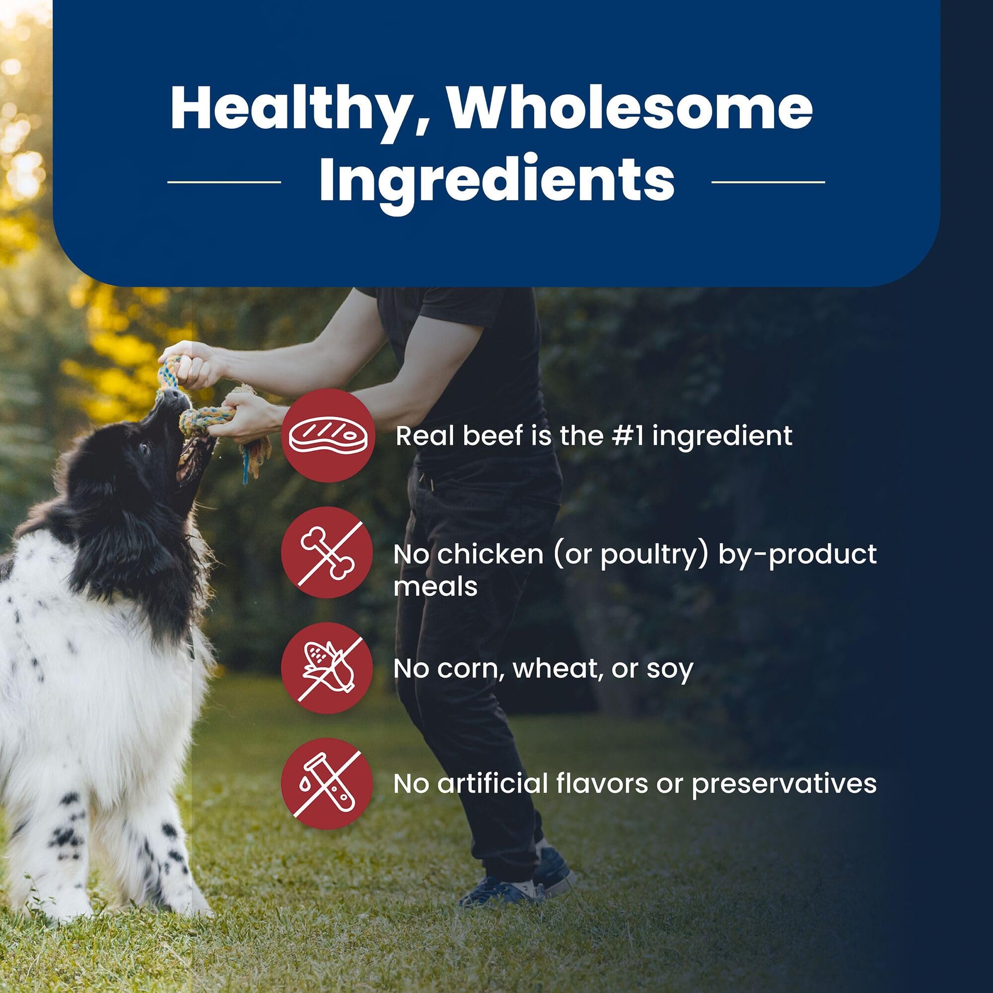 LifeSource Bits deliver antioxidants and minerals for balanced immune support.