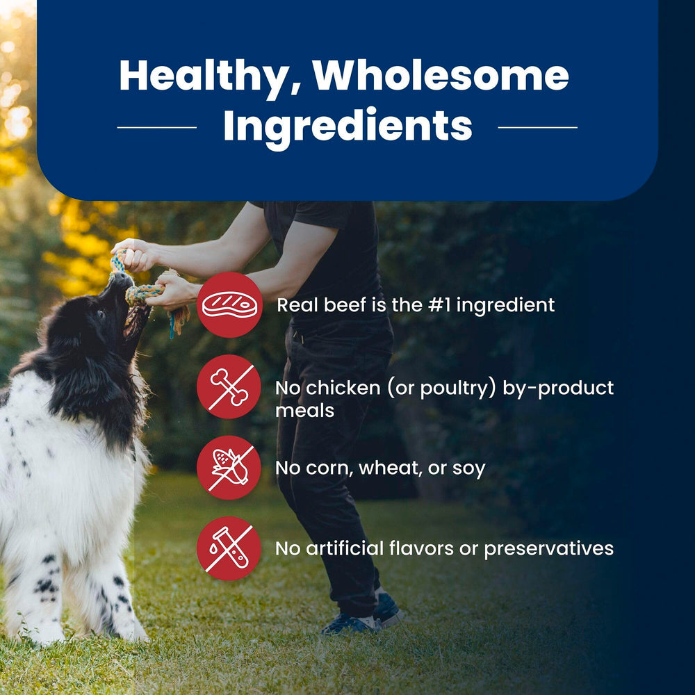 LifeSource Bits deliver antioxidants and minerals for balanced immune support.