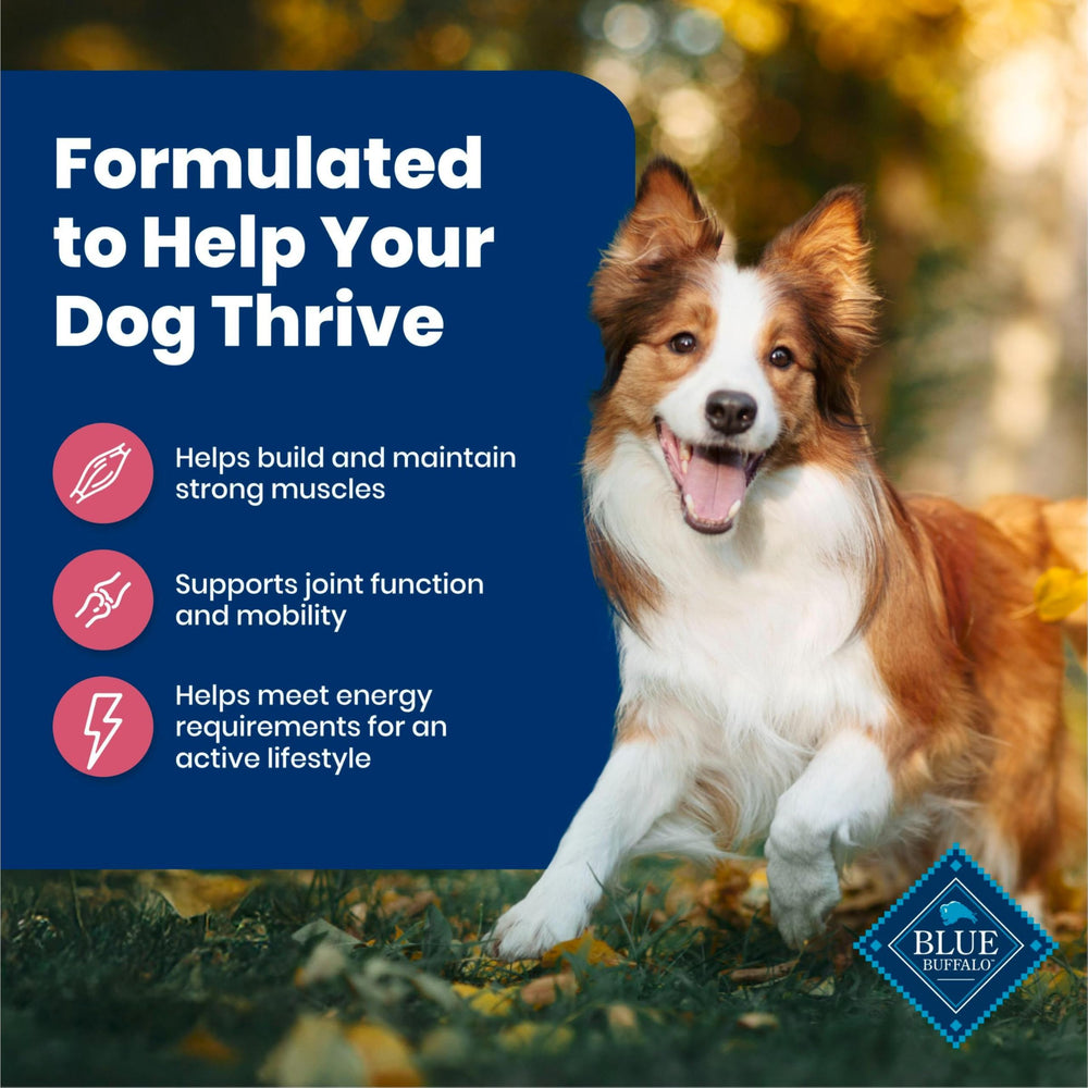 Life Source Bits in Blue Buffalo support immune health and overall wellness.