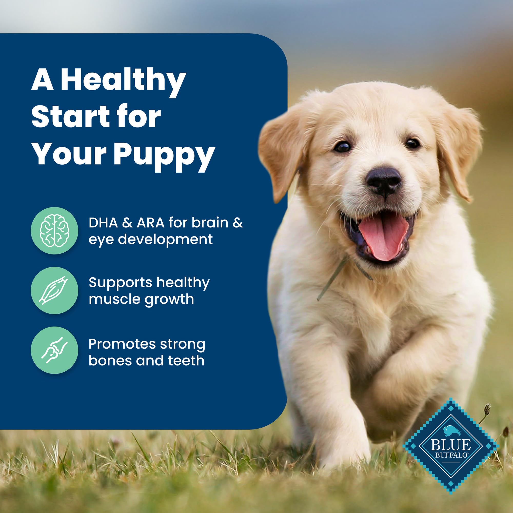 Blue Buffalo Life Source Bits provide immune-supporting nutrients.