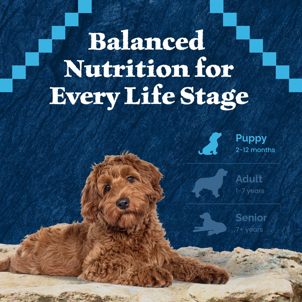 Blue Buffalo Life Source Bits label close-up emphasizing antioxidants
