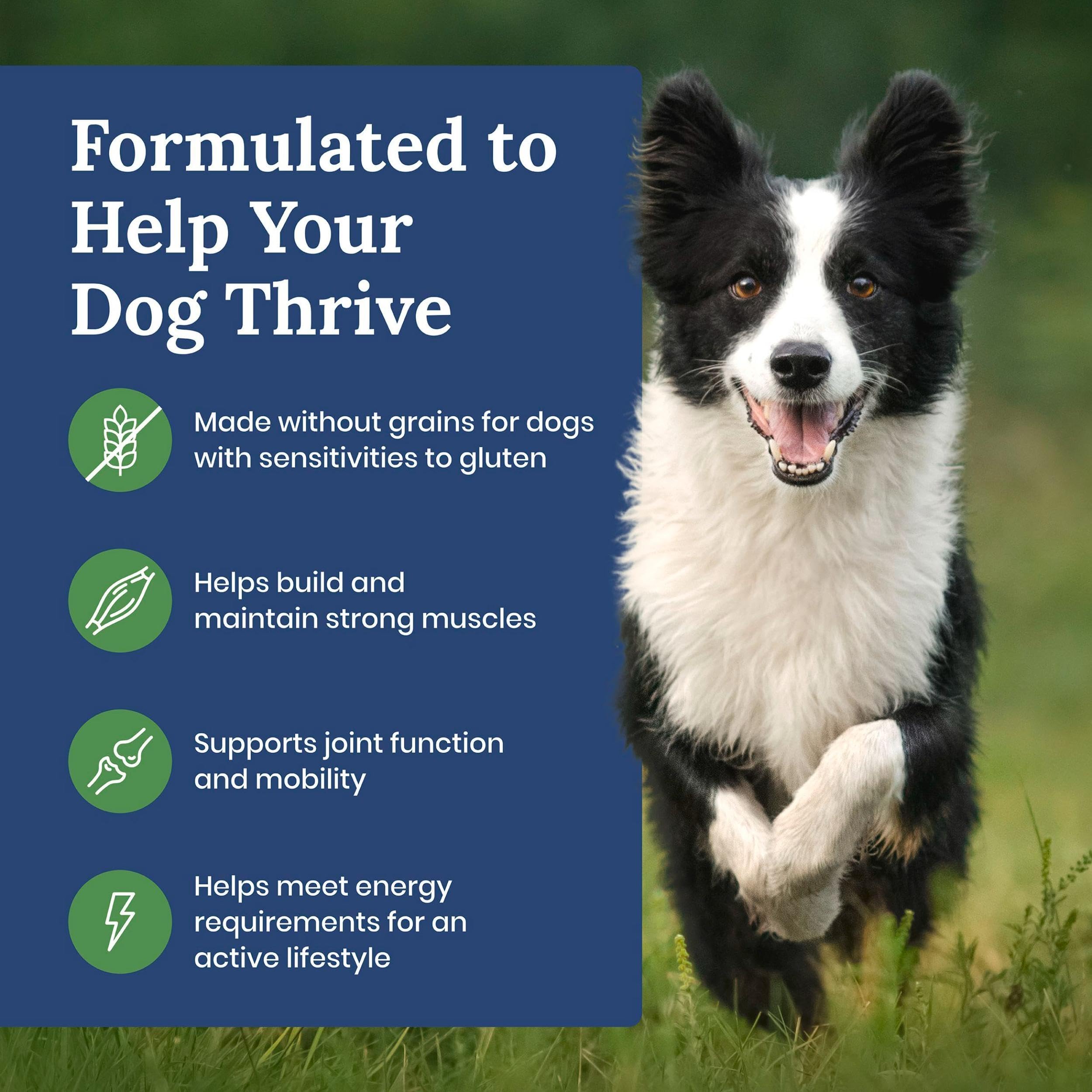 Blue Buffalo LifeSource Bits provide antioxidants and vitamins.