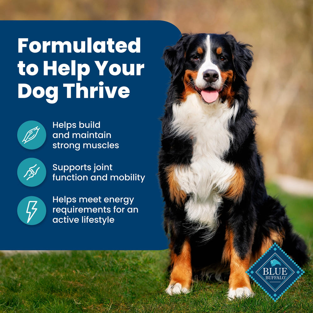Blue Buffalo Lifesource-Bits support immune health.