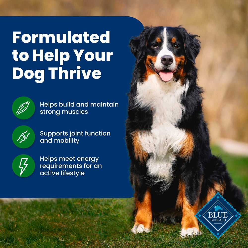 Blue Buffalo LifeSource Bits provide antioxidants and minerals for immune health.
