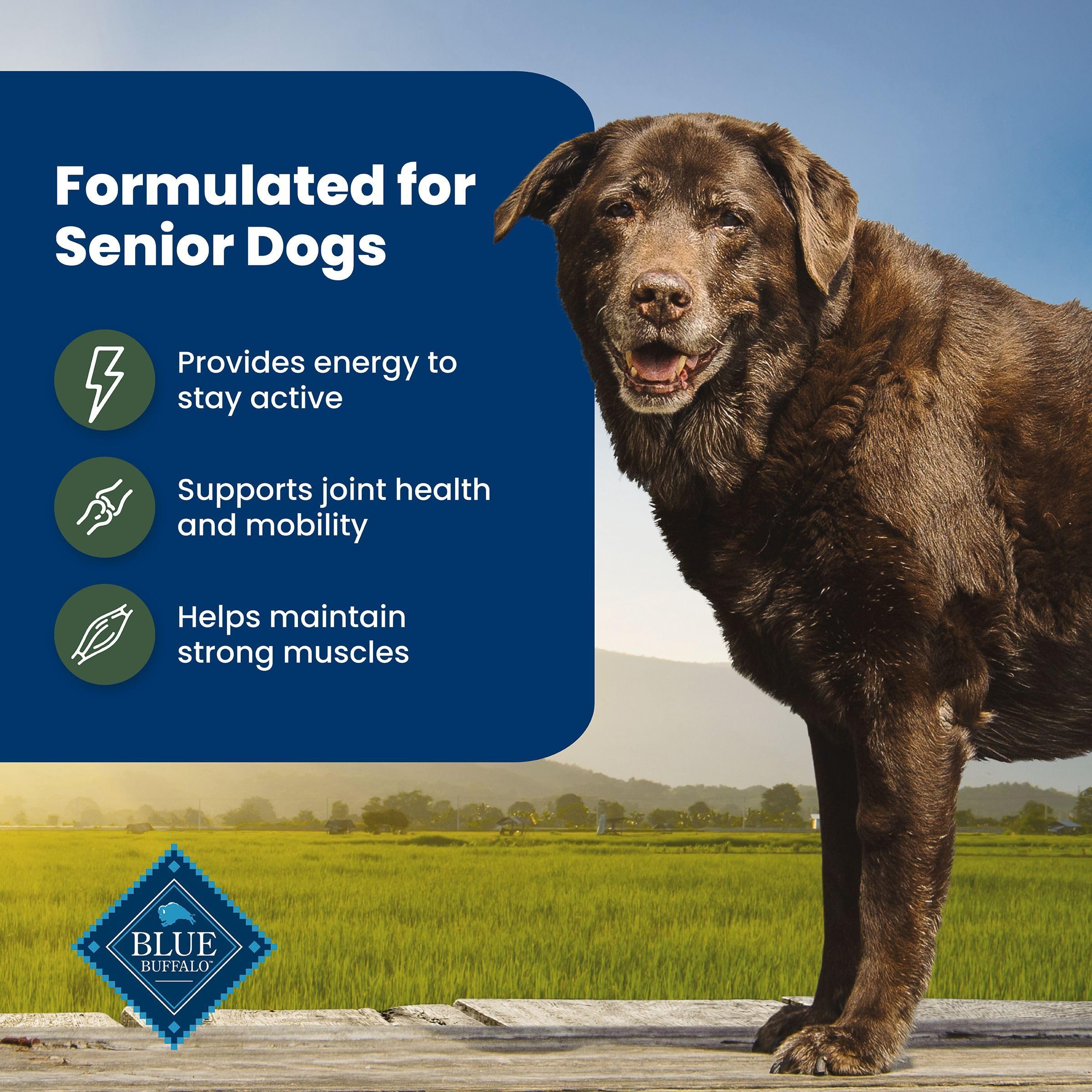 Blue Buffalo Lifesource Bits tag illustrating antioxidants and immune support
