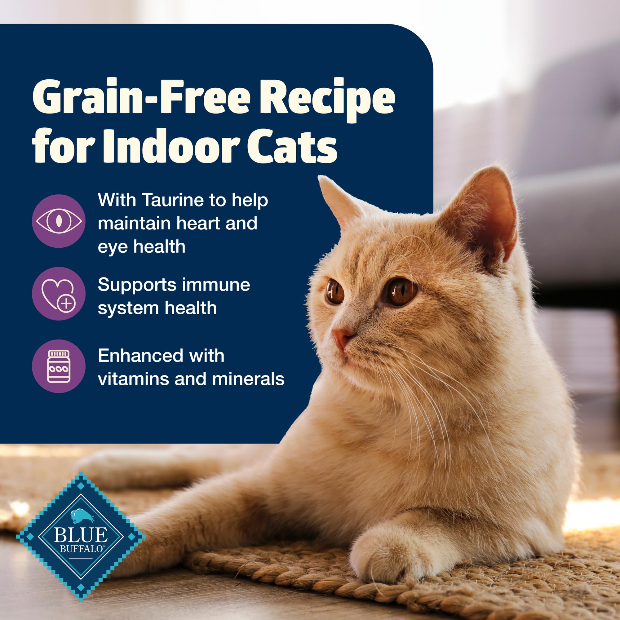 Blue Buffalo Freedom mature cat meal bowl demonstrates a complete feeding routine.