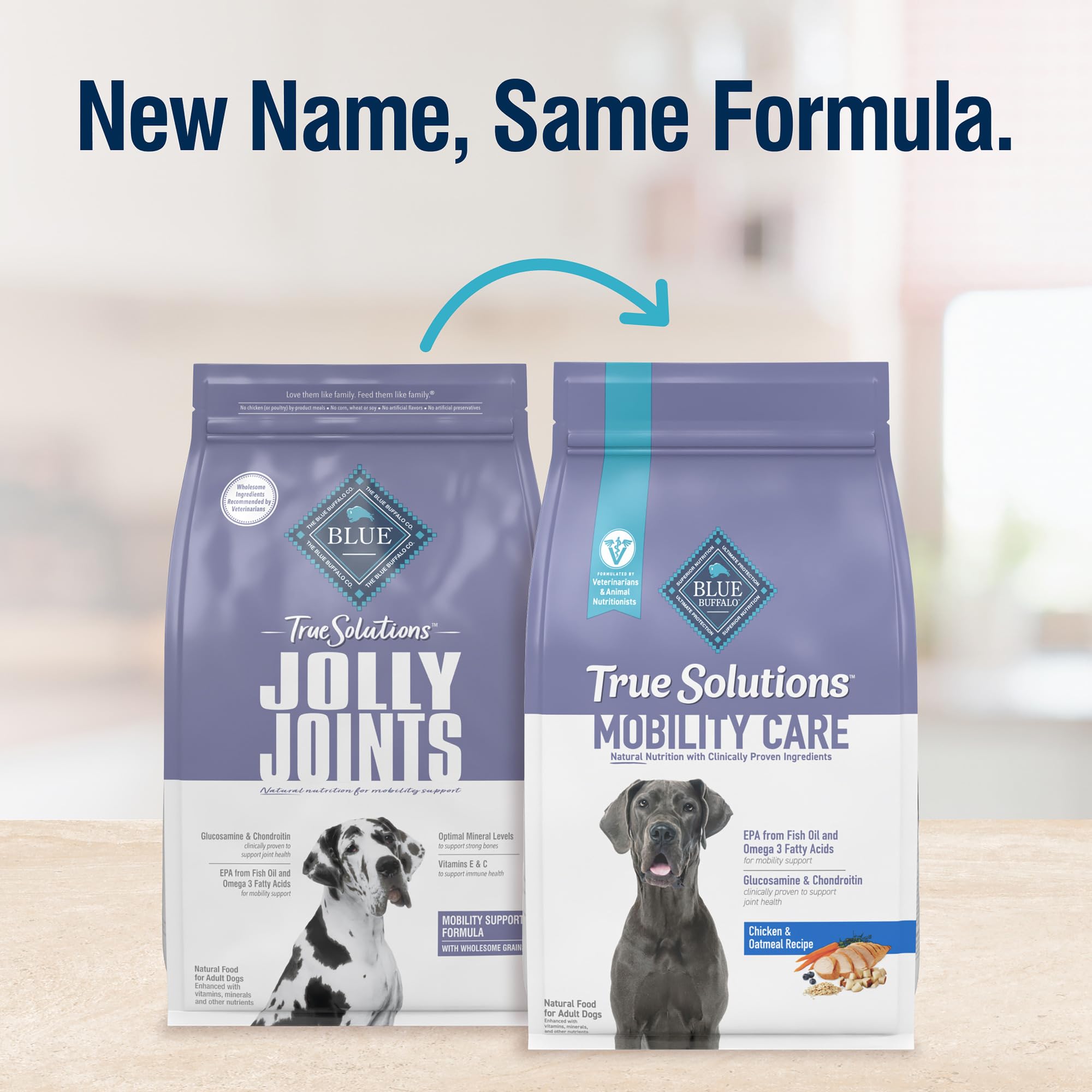 Blue Buffalo Mobility Care dog bowl feeding scene highlighting meal appeal