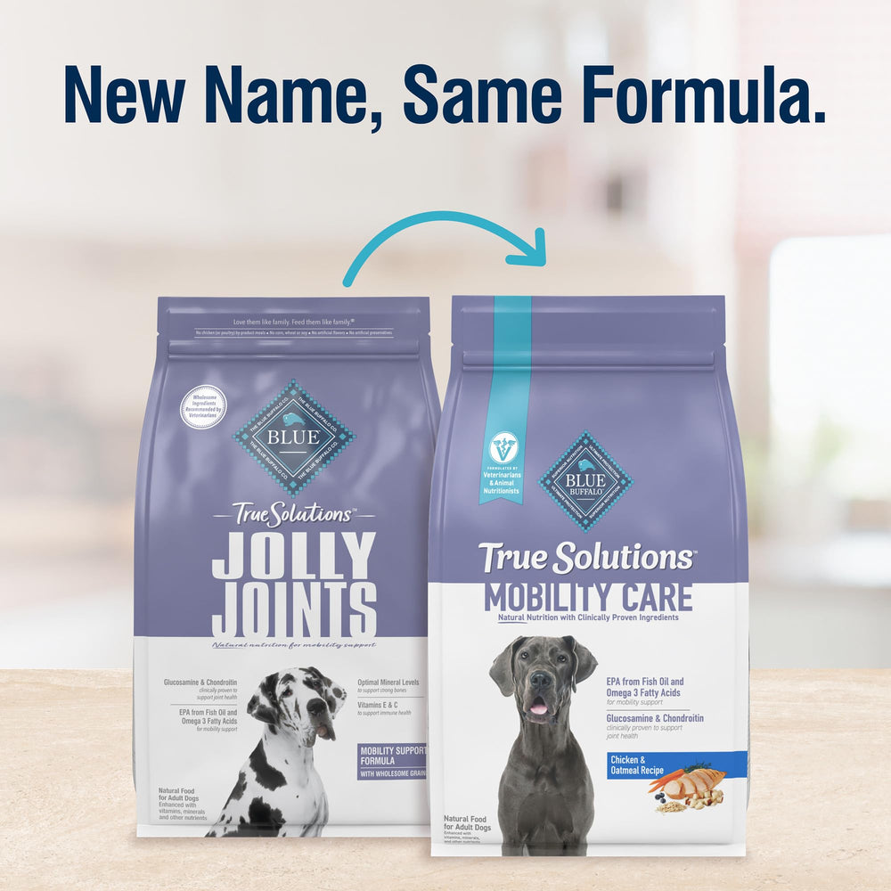Blue Buffalo Mobility Care dog bowl feeding scene highlighting meal appeal
