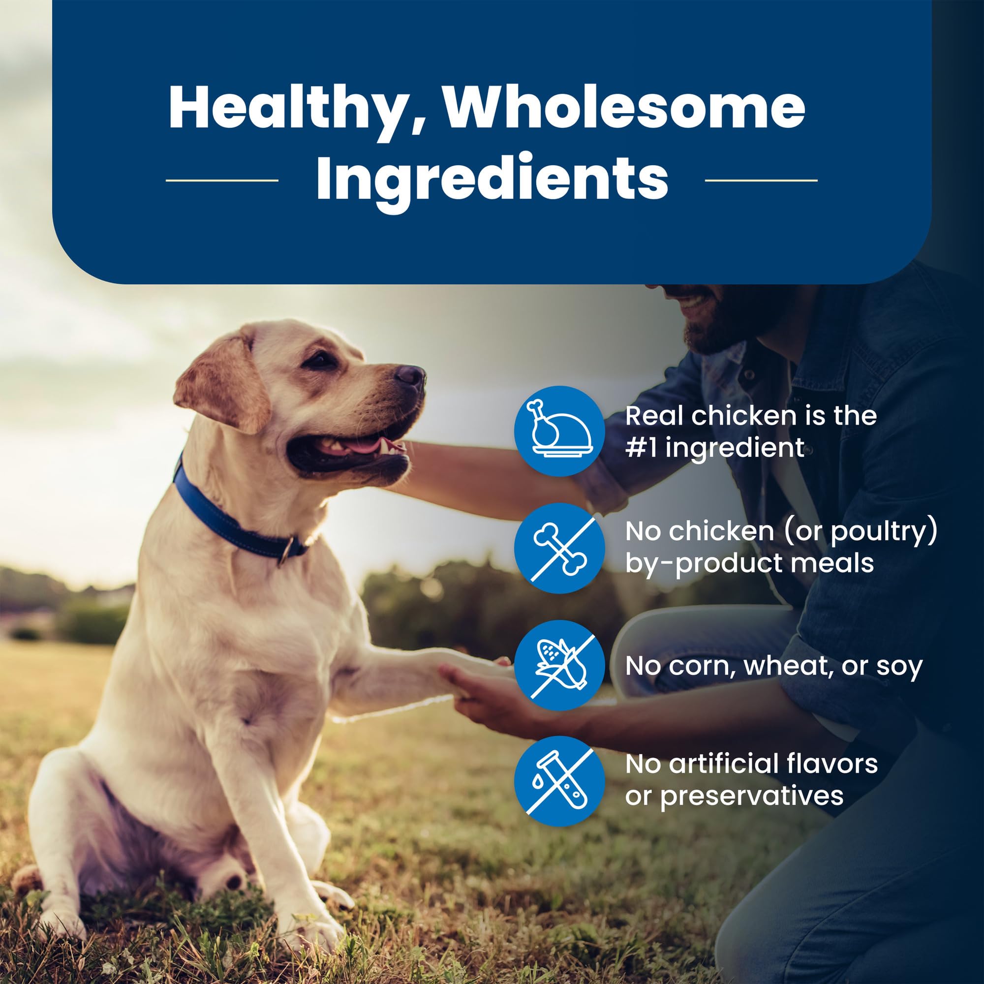 Natural ingredients including blueberries and vegetables in Blue Buffalo formula