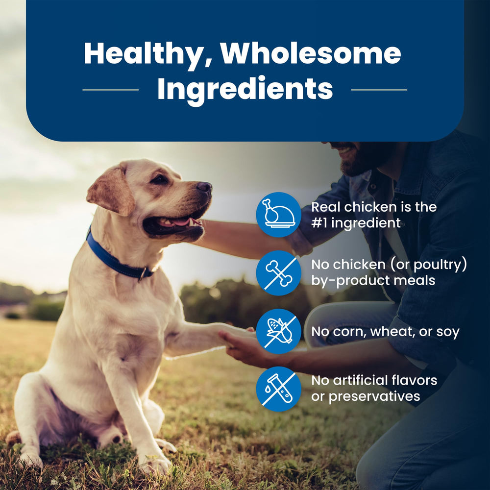 Natural ingredients including blueberries and vegetables in Blue Buffalo formula