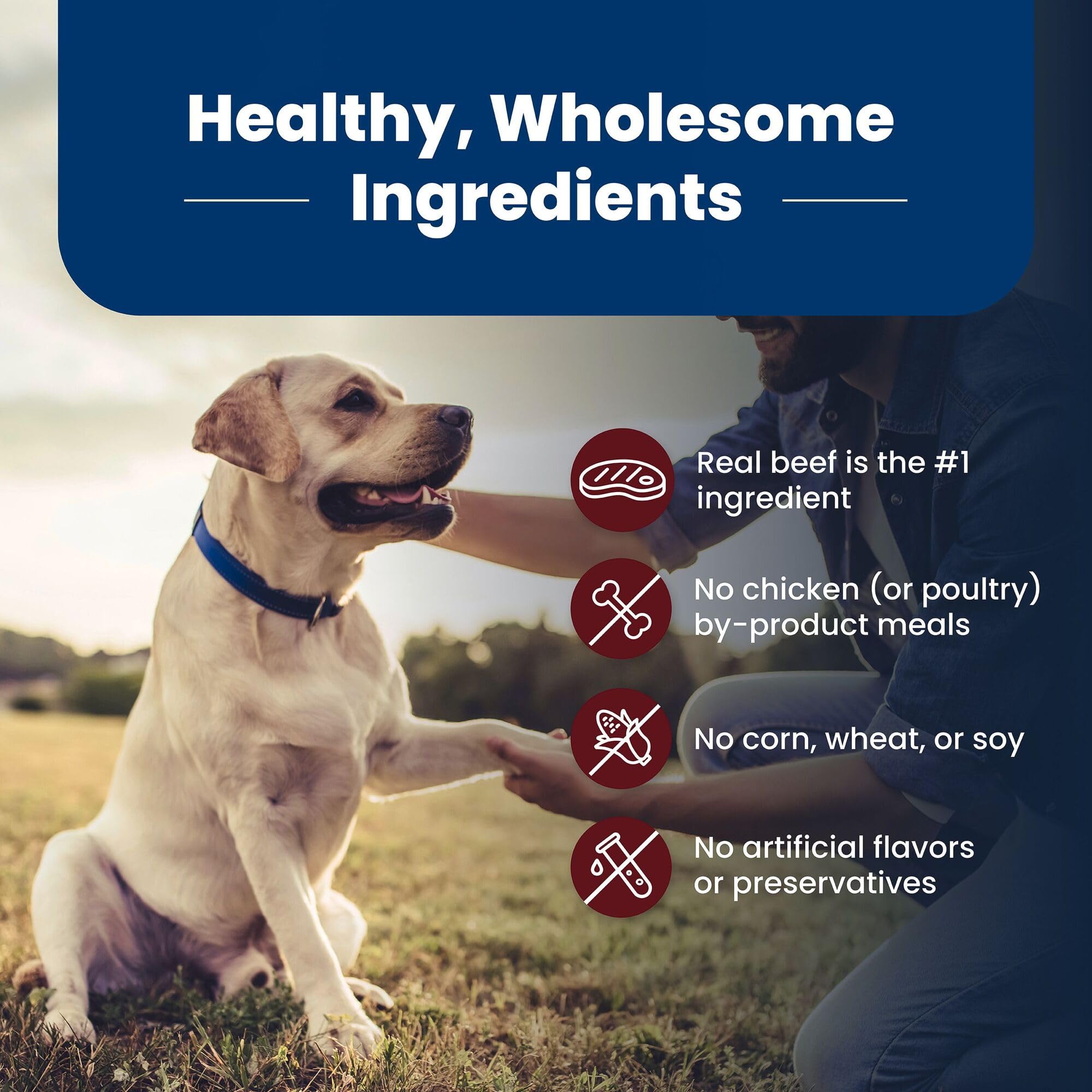 Blue Buffalo no chicken by-product meals illustration conveys clean ingredient standards.