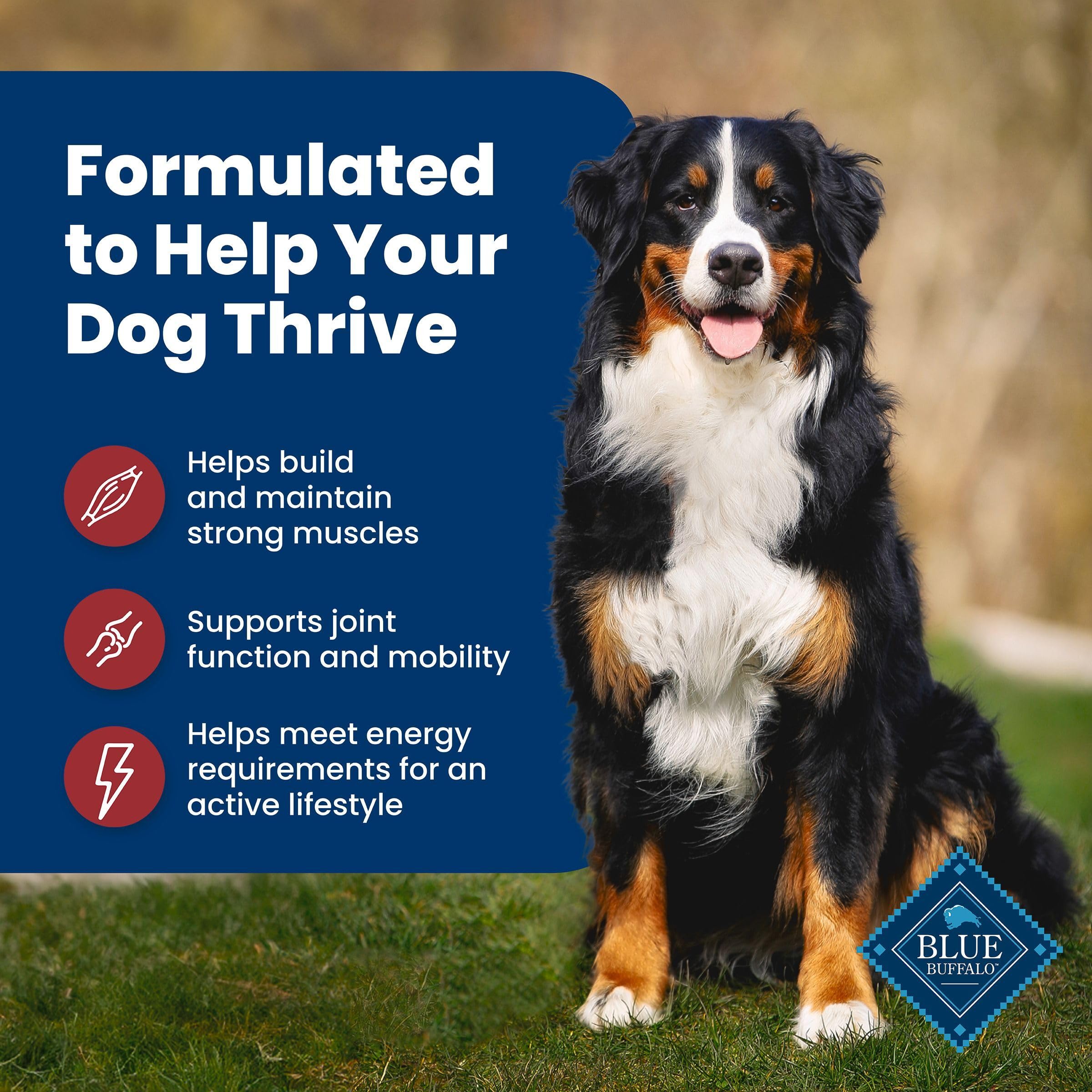 No corn, wheat, or soy in the recipe, safer for sensitive dogs.
