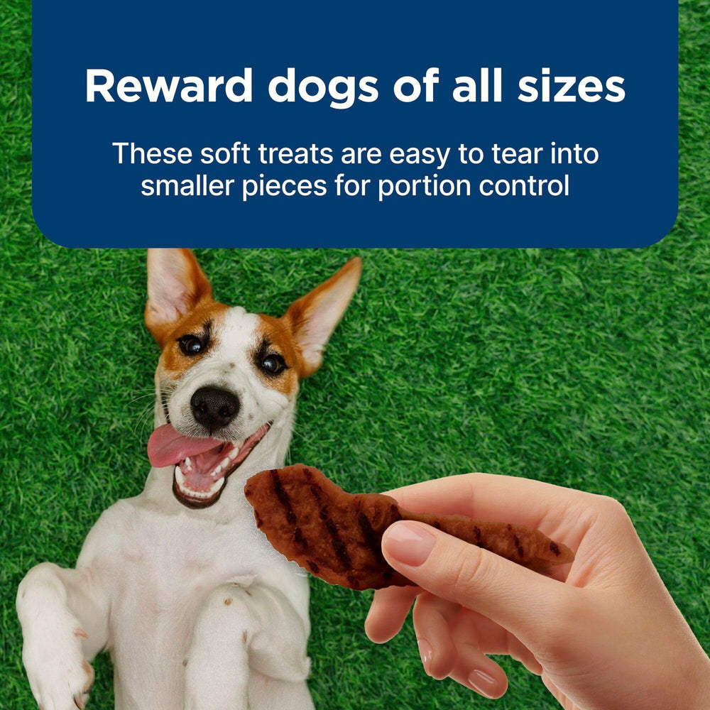 Blue Buffalo Nudges Grillers tear-ready pieces for all dog sizes.