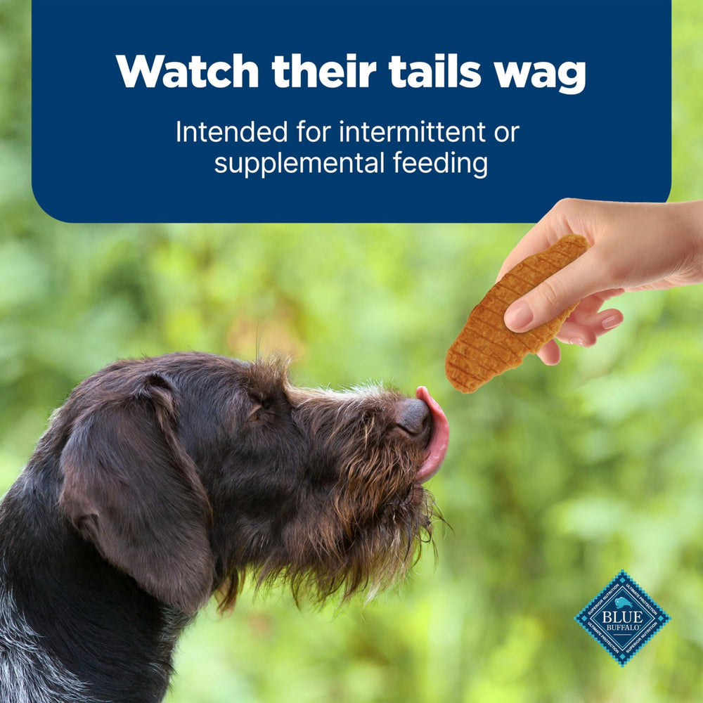 Blue Buffalo Nudges Jerky Cuts daily snack use during walks.