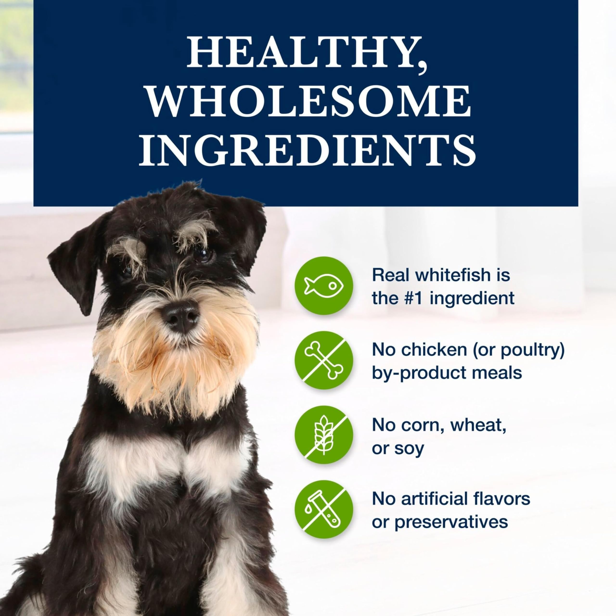 Blue Buffalo prebiotic fibers illustrate gut-friendly support within the dry formula.