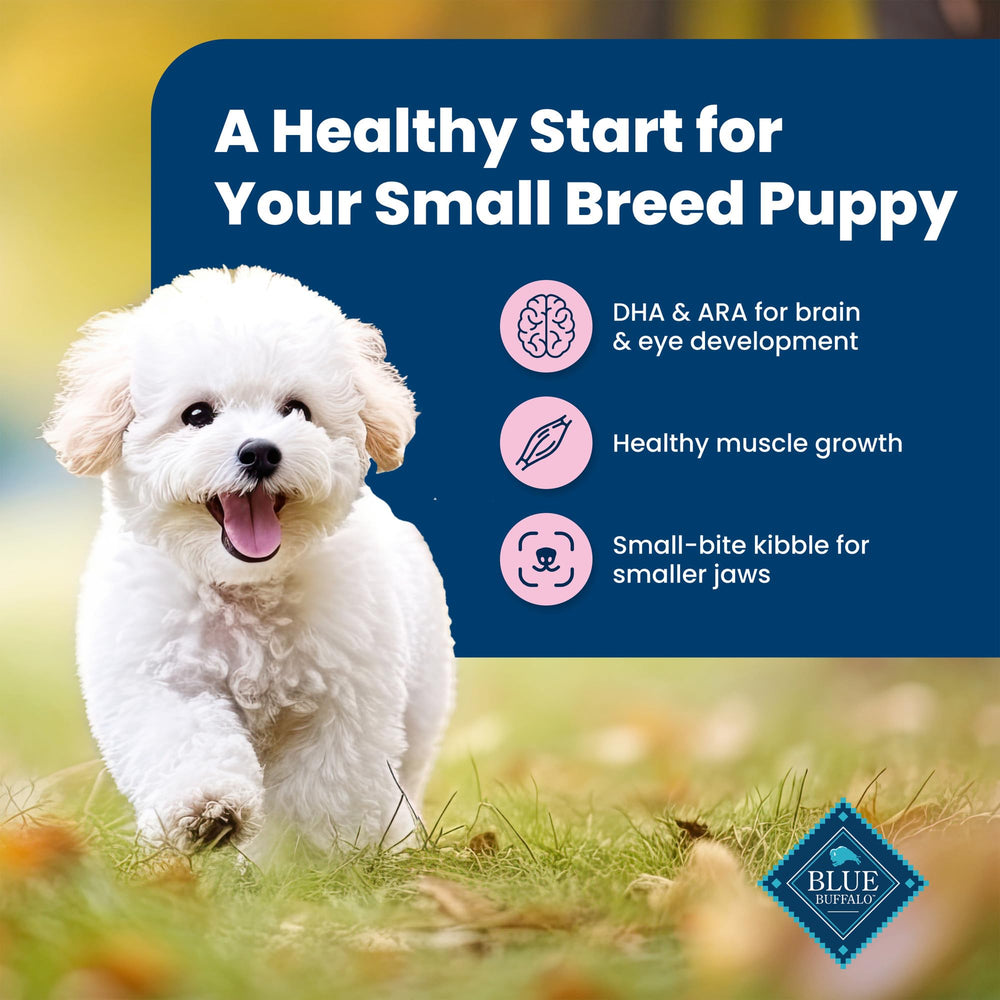 Blue Buffalo 15-lb puppy food bag angled display suggests long-lasting supply